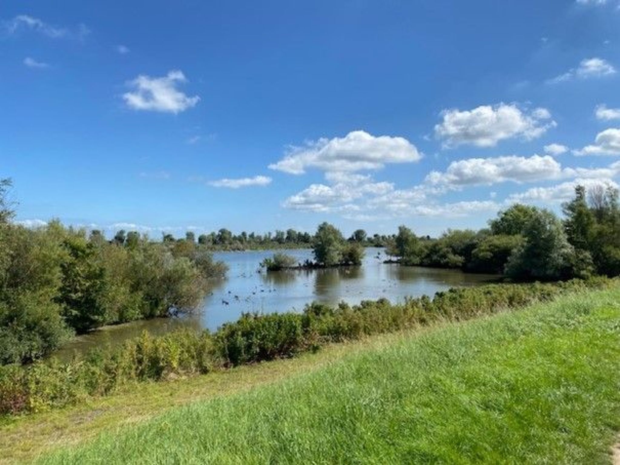 Chalet Welcome direkt am Wasser mit eigenem Steig-Image-tags.info