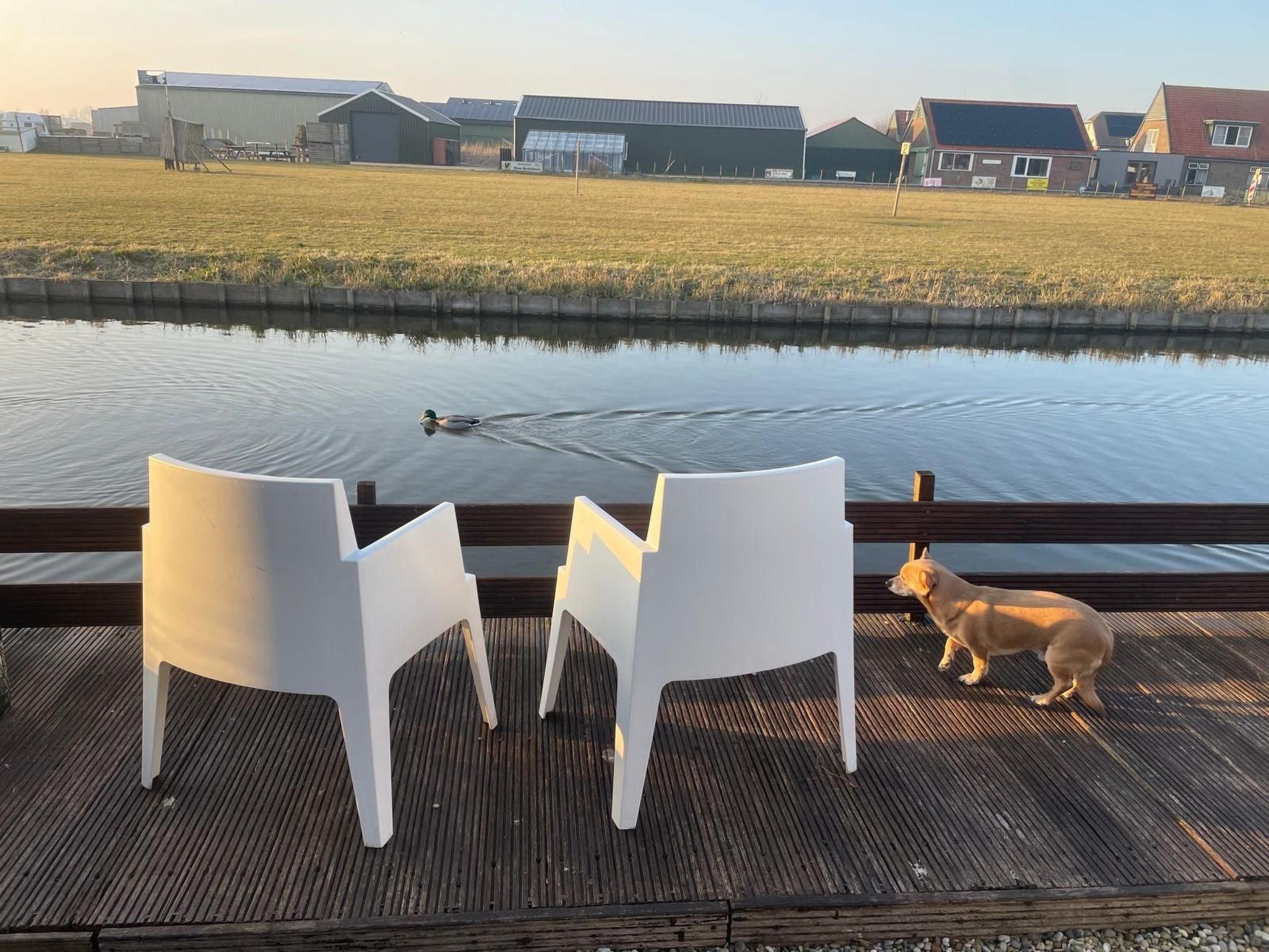 Chalet Welcome direkt am Wasser mit eigenem Steig-Image-tags.info