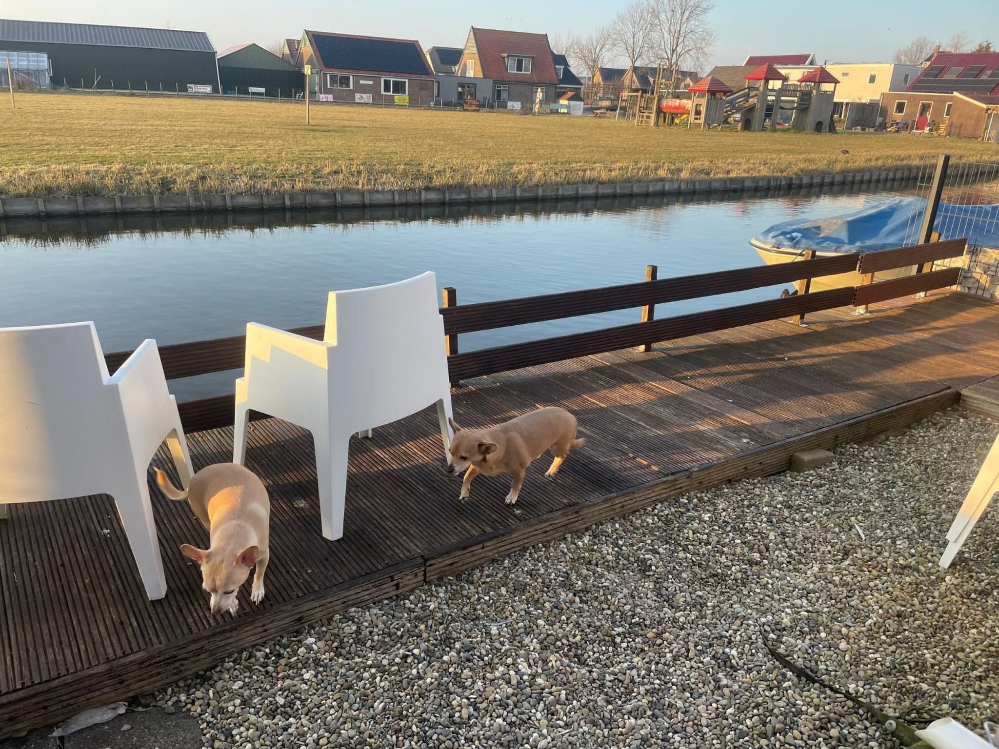 Chalet Welcome direkt am Wasser mit eigenem Steig-Image-tags.info