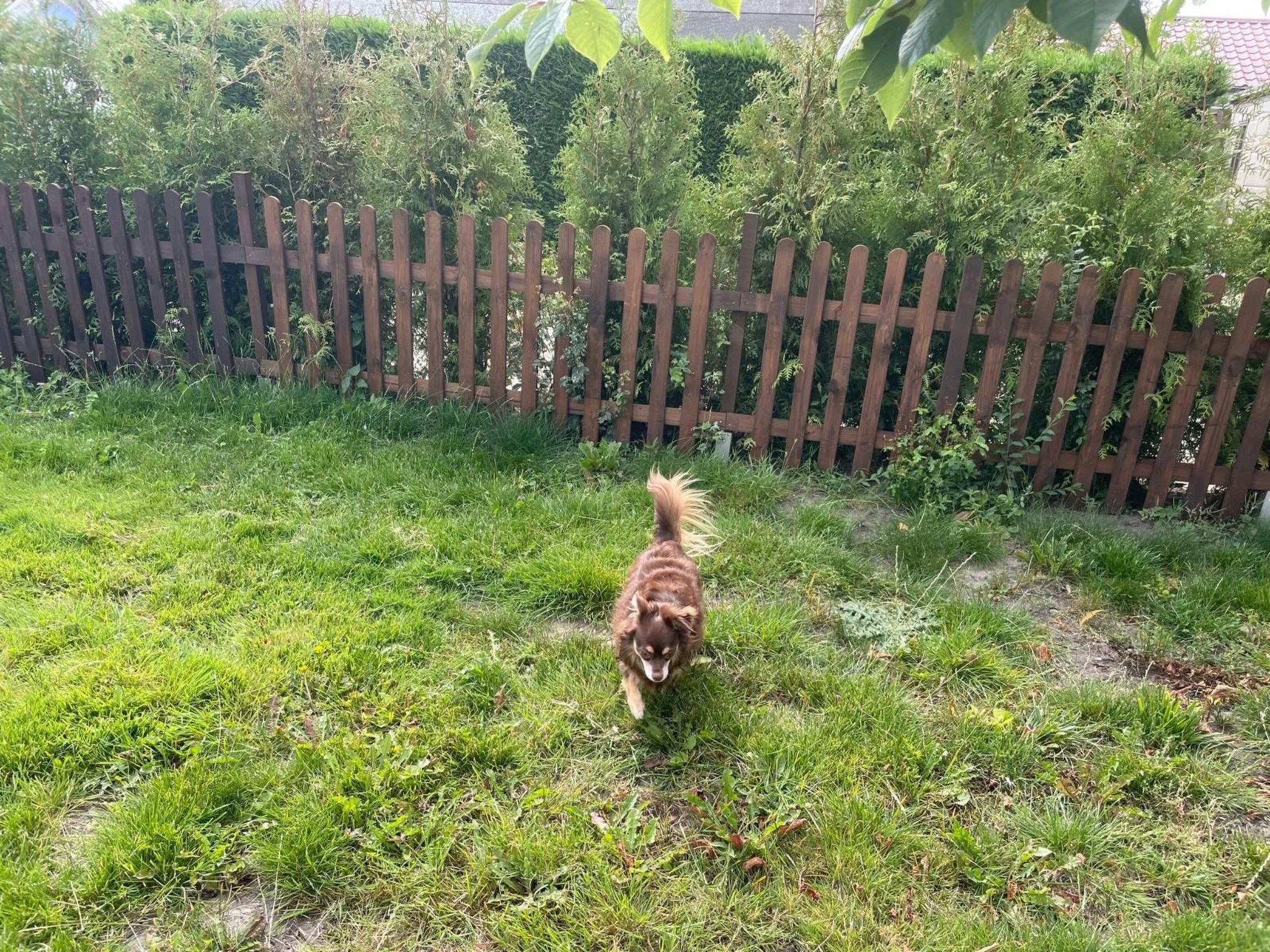 Haus Moony-Image-tags.info