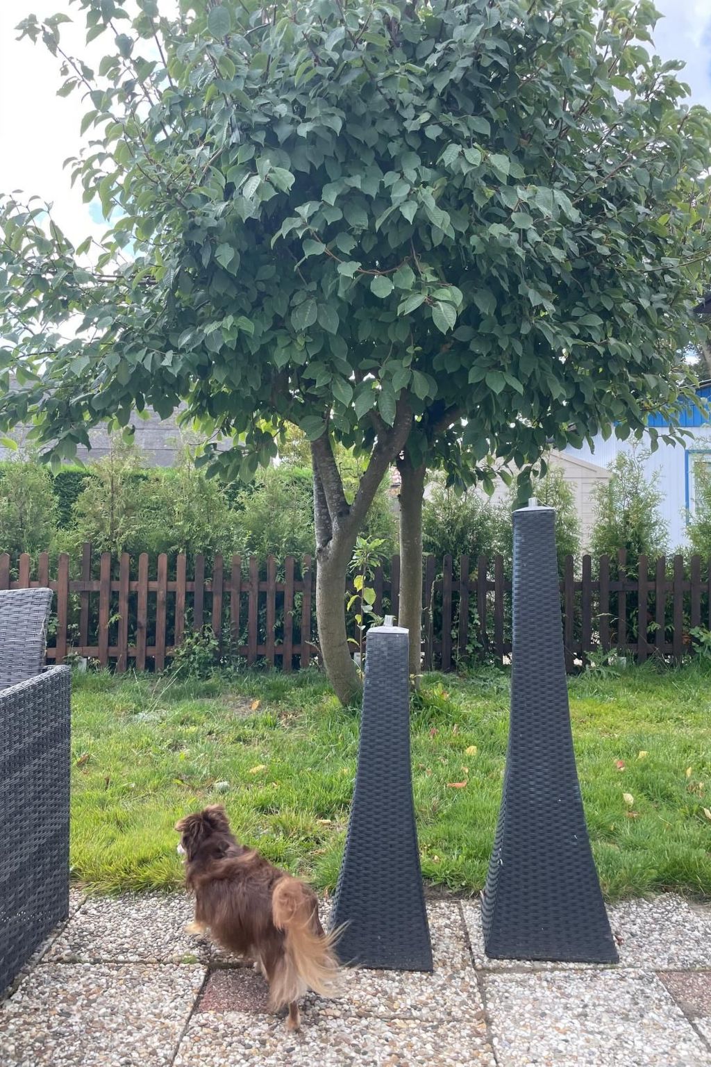 Haus Moony-Image-tags.info