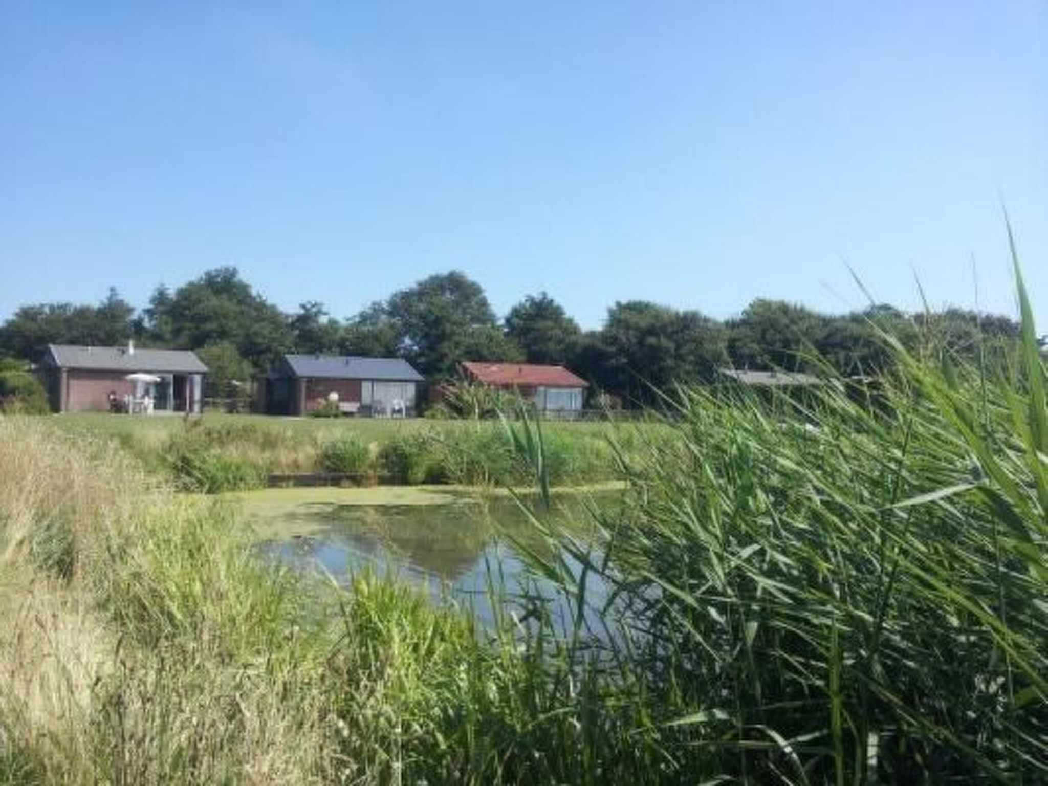 Wunderschönes Haus mit Pool, Garten und Grill-Image-tags.info