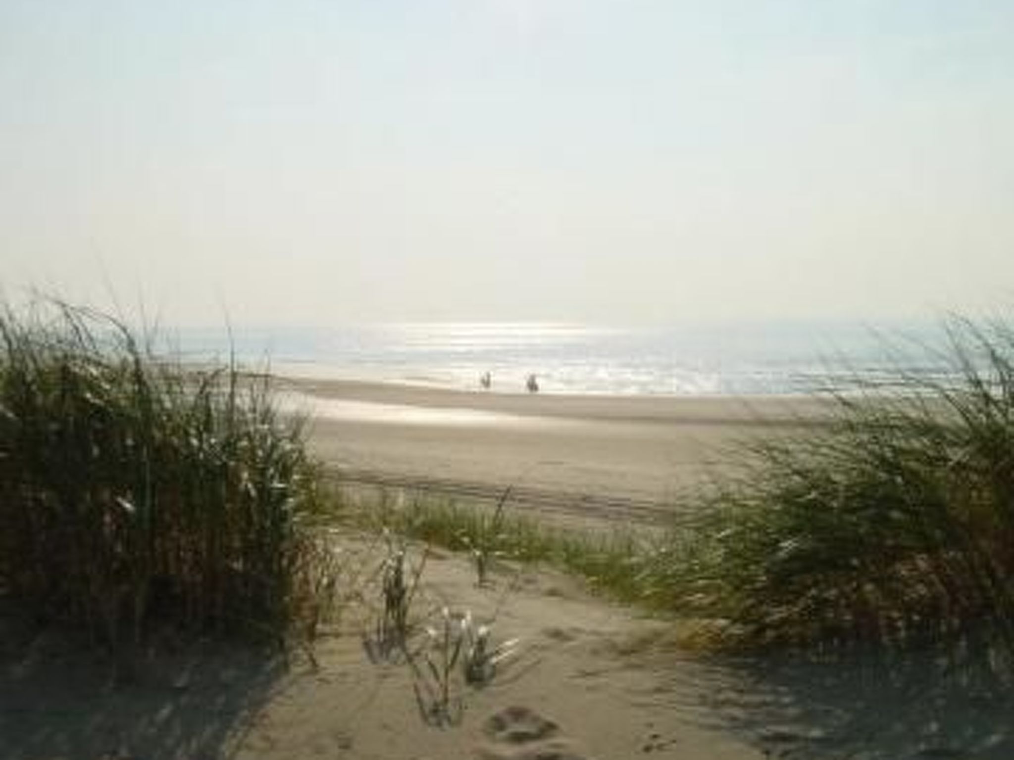 Wunderschönes Haus mit Pool, Garten und Grill-Image-tags.info