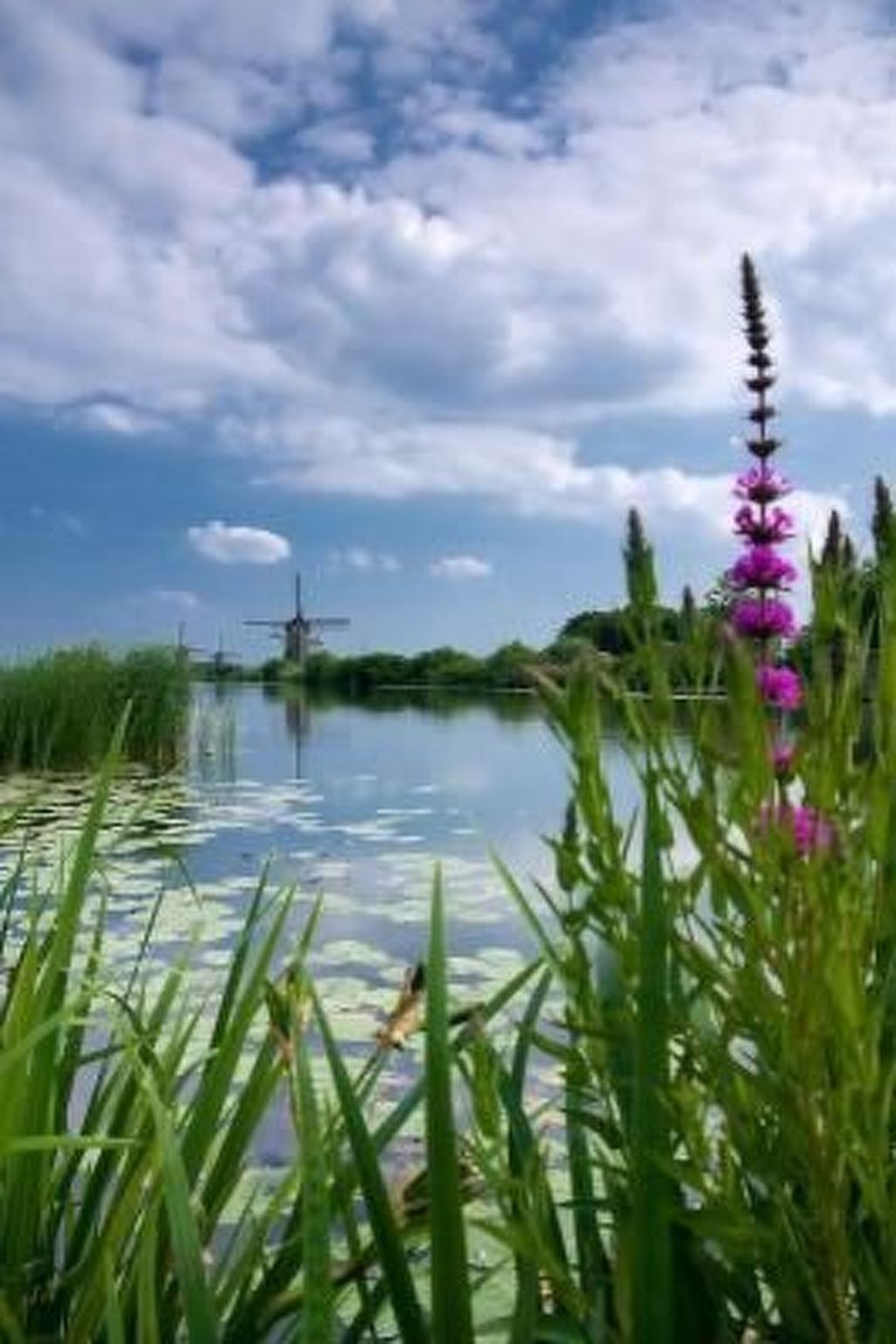 Wunderschönes Haus mit Pool, Garten und Grill-Image-tags.info