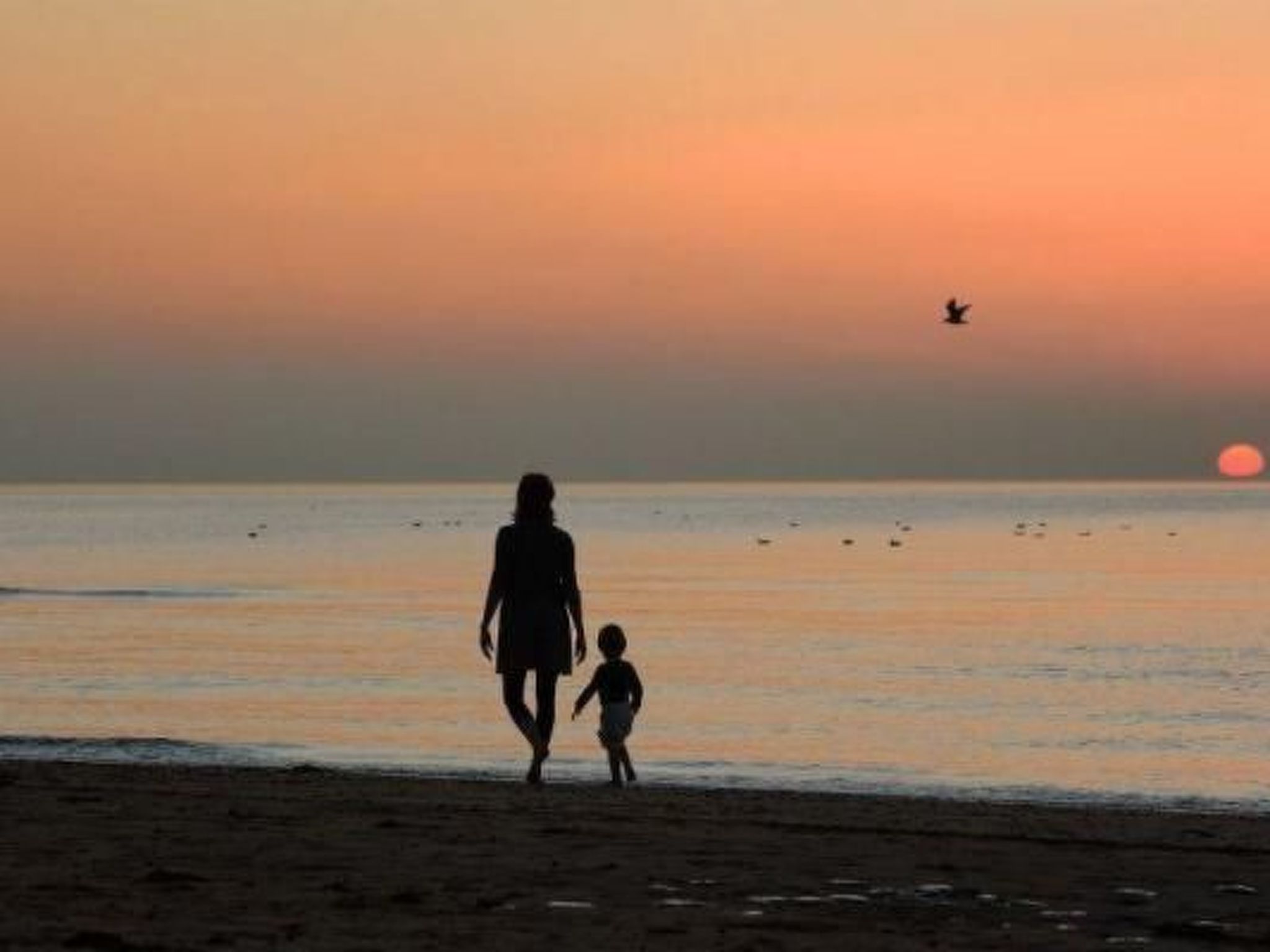 Wunderschönes Haus mit Pool, Garten und Grill-Image-tags.info