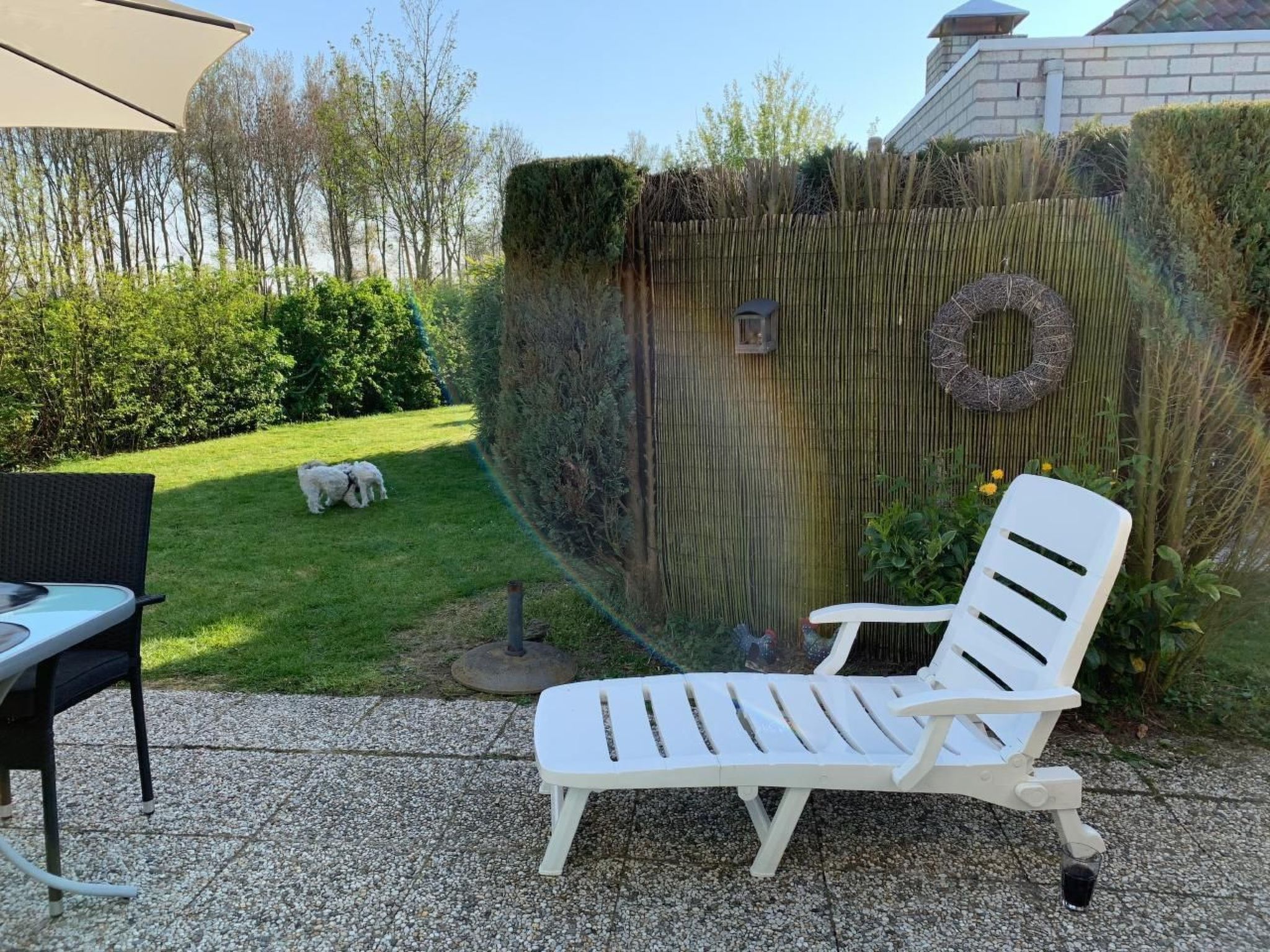 In Dirkshorn-Image-tags.info