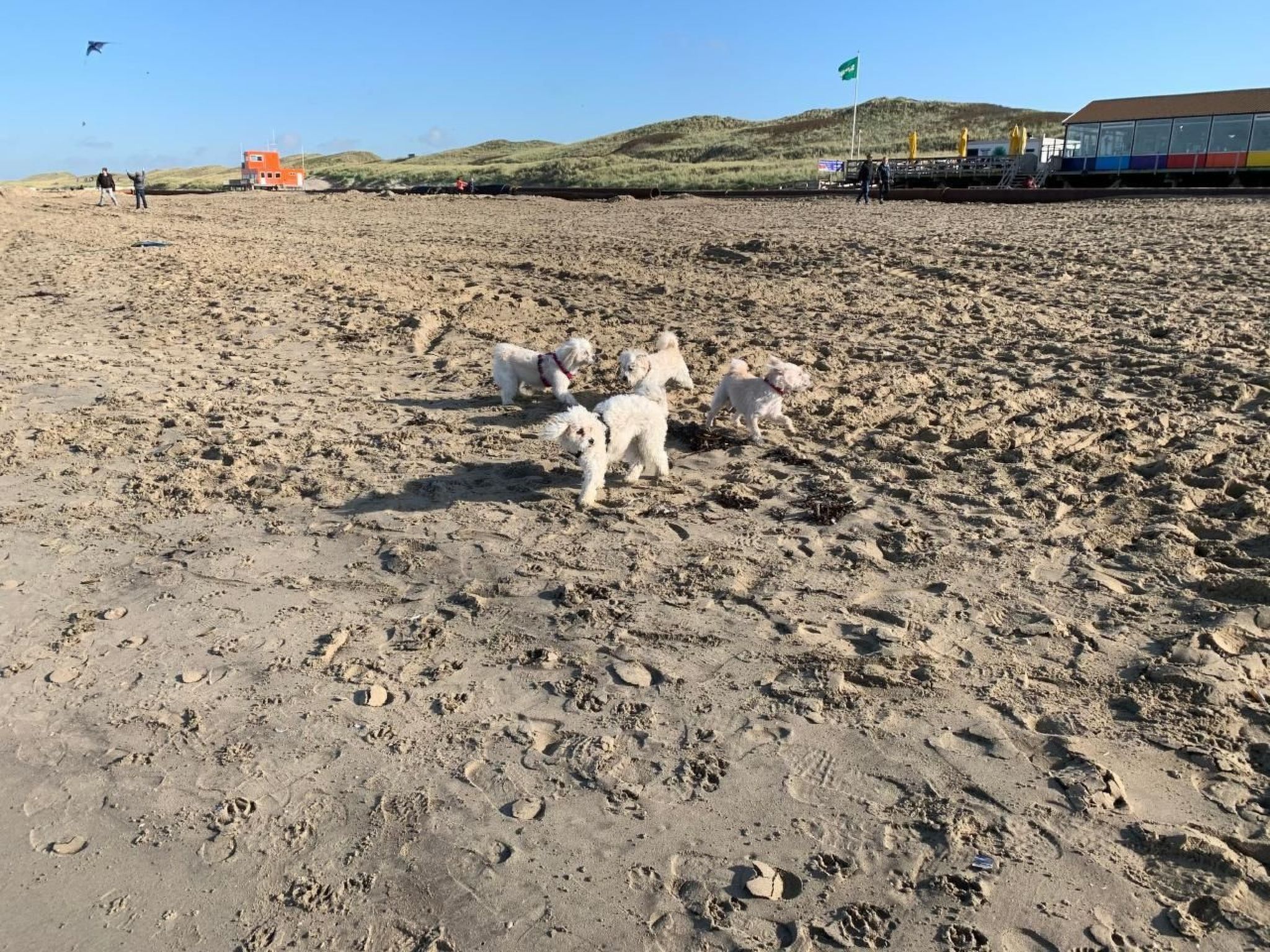 In Dirkshorn-Image-tags.info