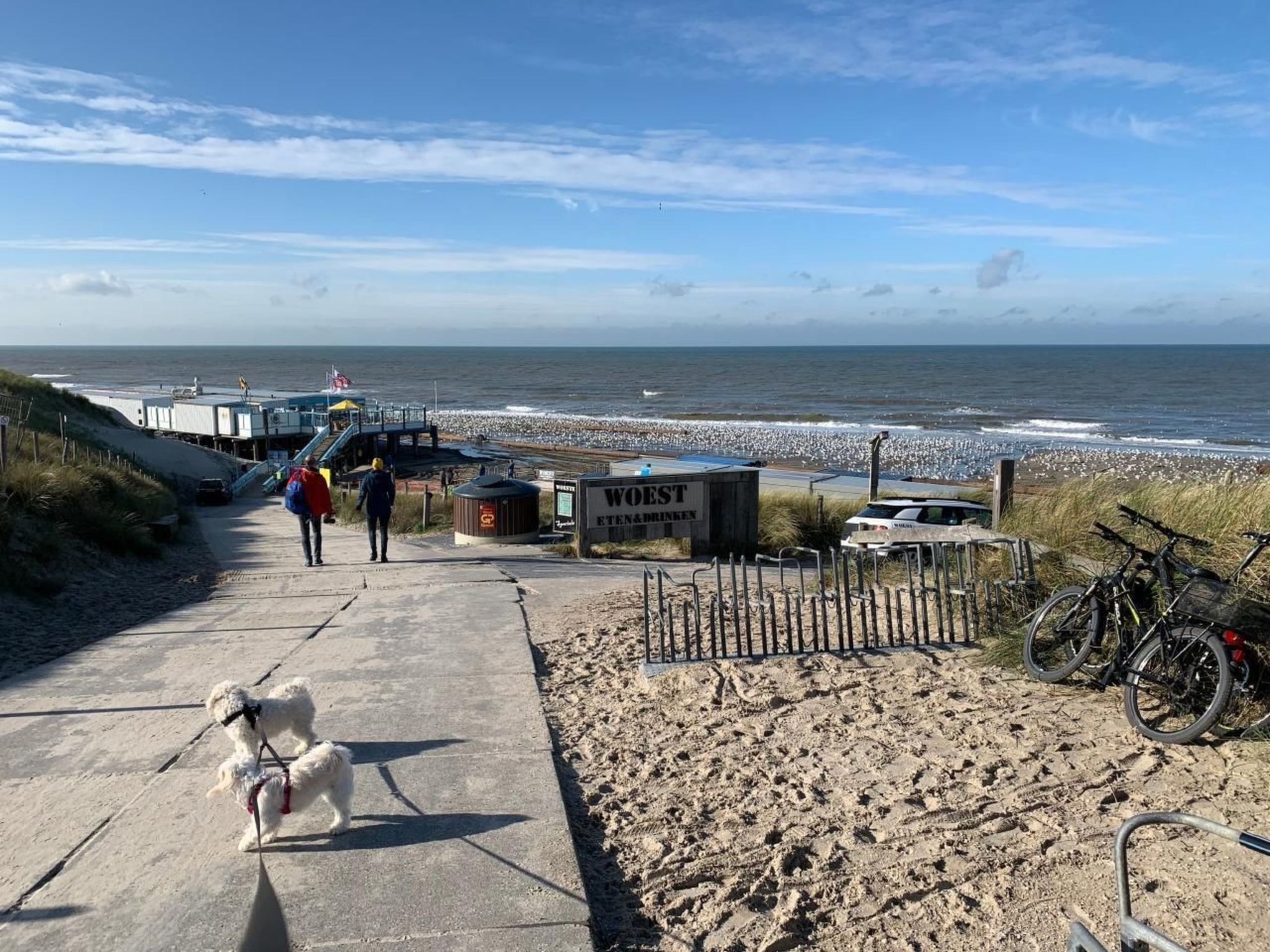 In Dirkshorn-Image-tags.info