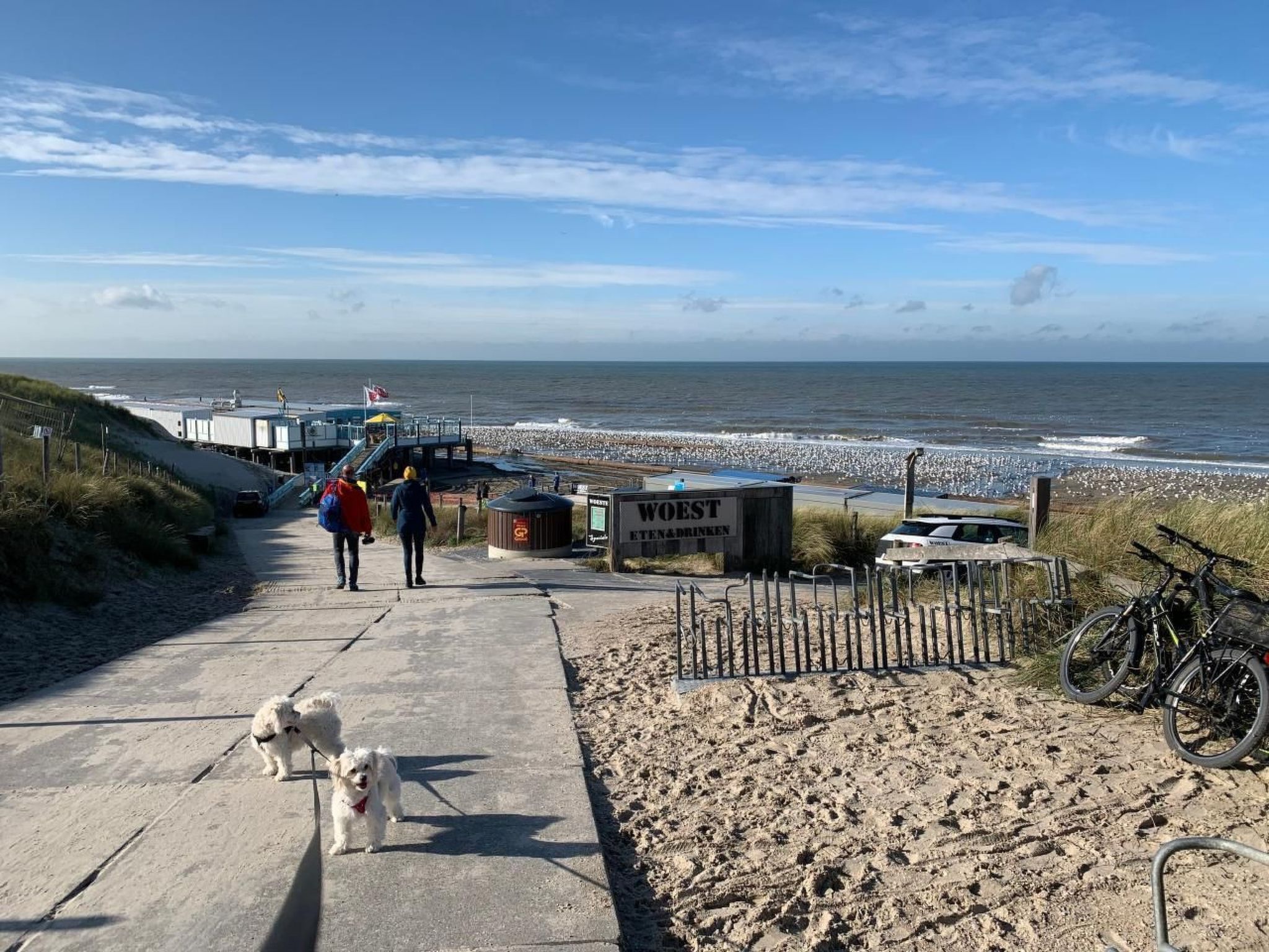 In Dirkshorn-Image-tags.info