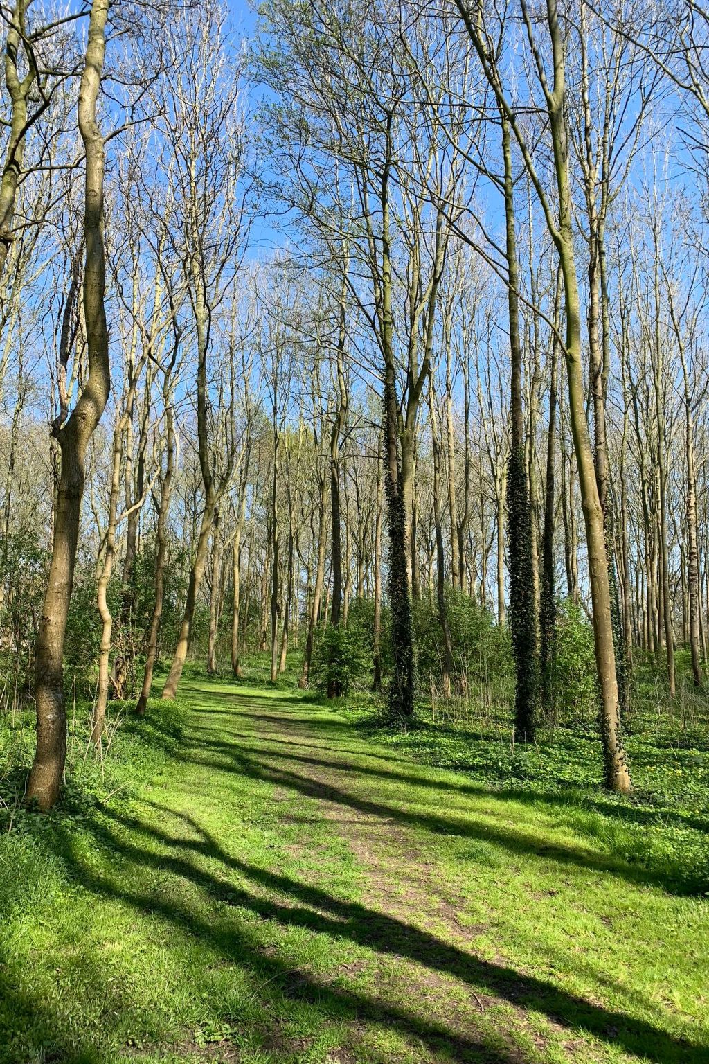 In Dirkshorn-Image-tags.info