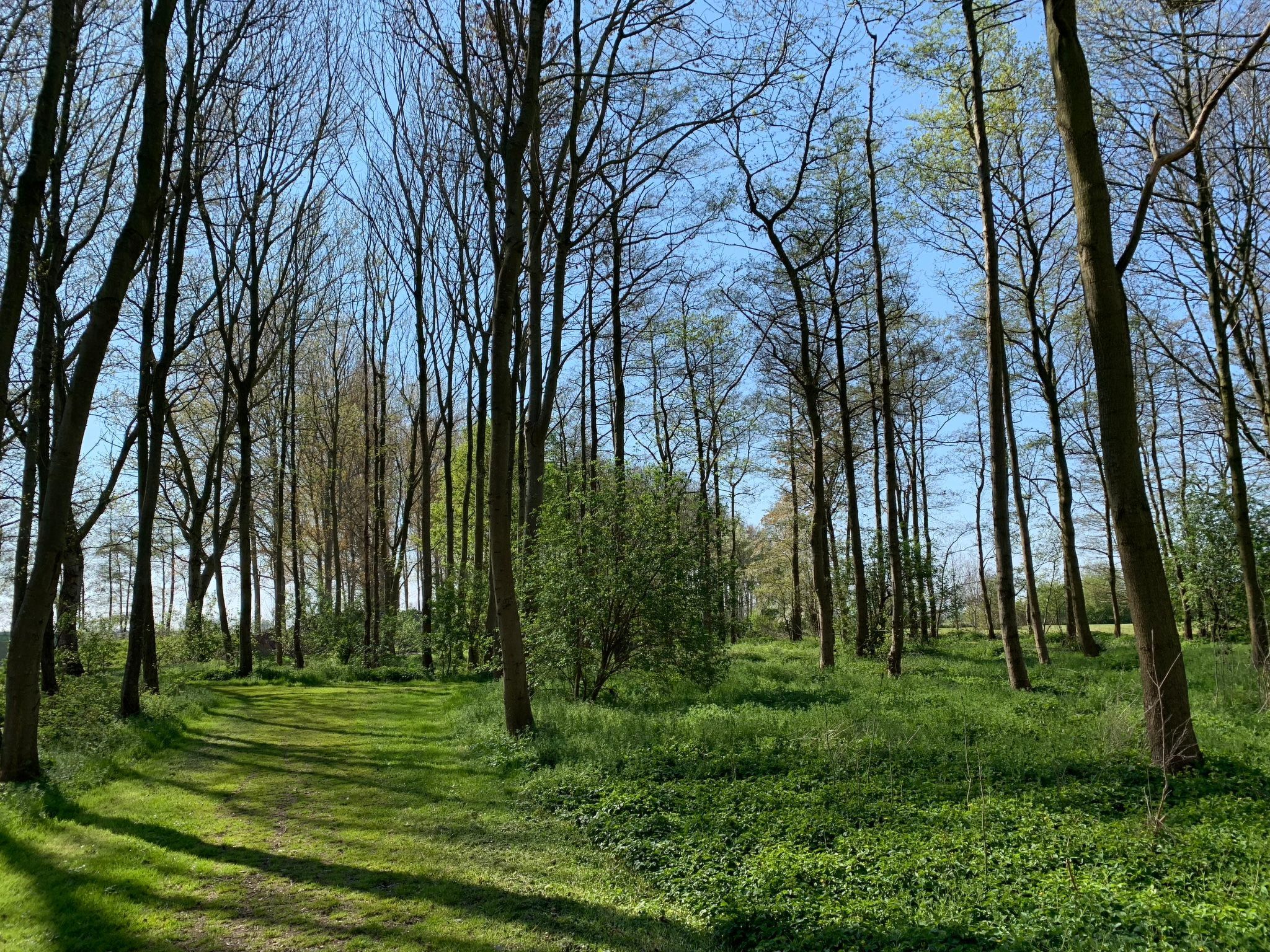 In Dirkshorn-Image-tags.info