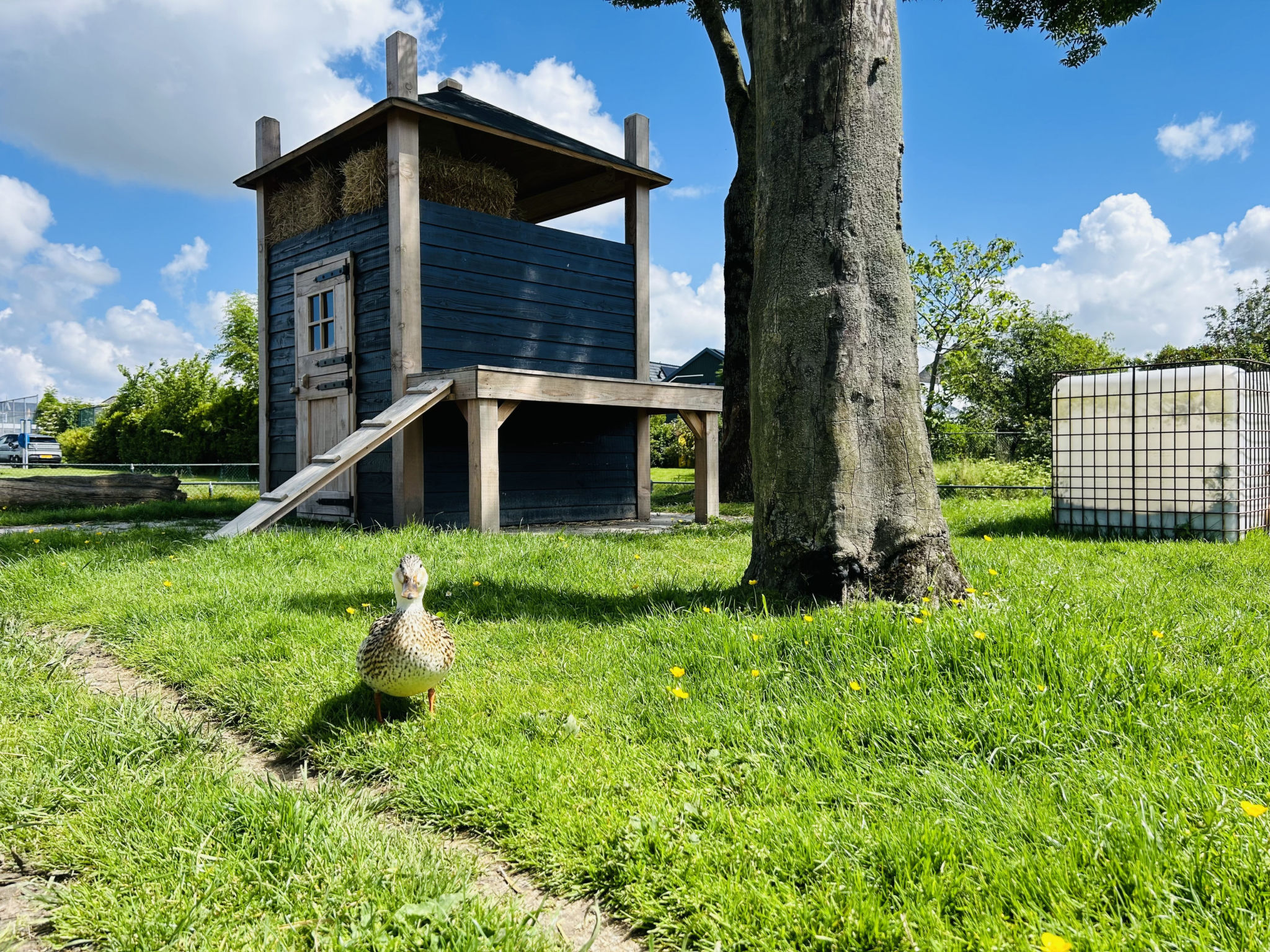 Bungalowpark de Horn - Floresta 215 - Binnen