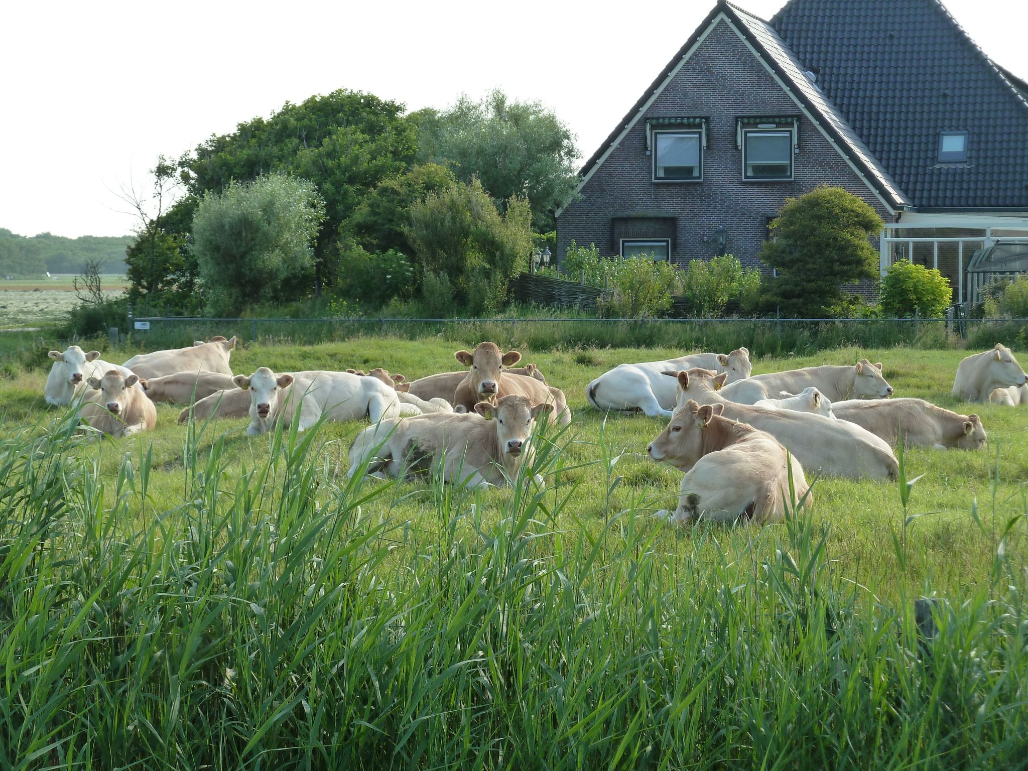 "De Korre 4" mit privatem Garten und Terrasse-Binnen