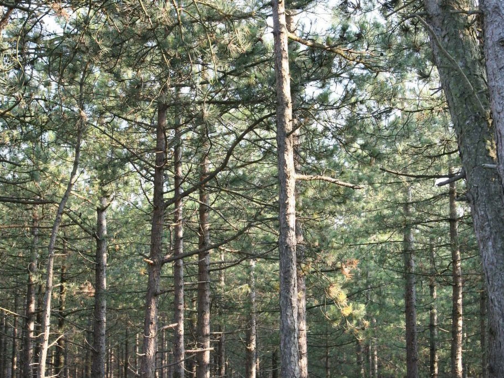 "De Korre 4" mit privatem Garten und Terrasse-Binnen