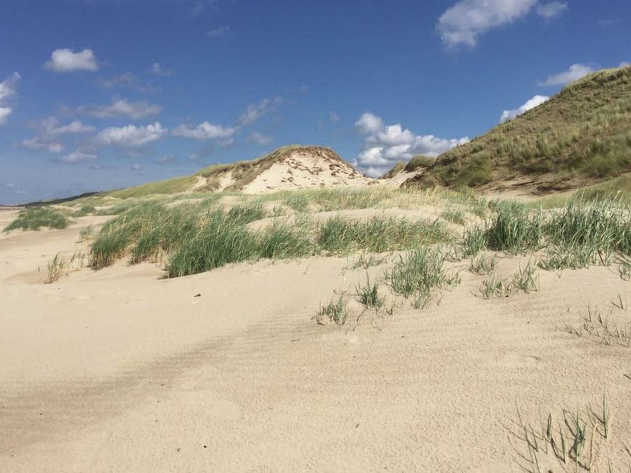 "De Korre 4" mit privatem Garten und Terrasse-Binnen