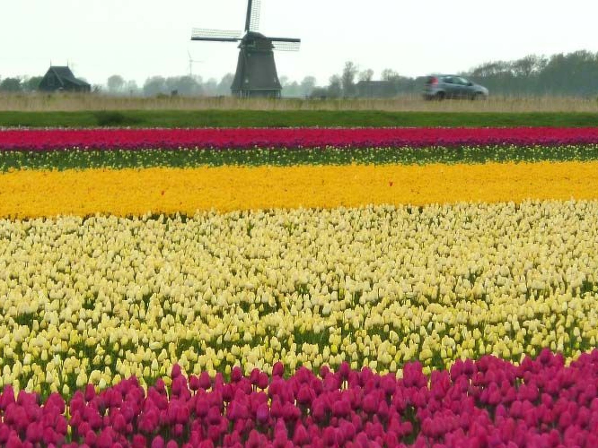 De Korre 2 in Callantsoog-Binnen