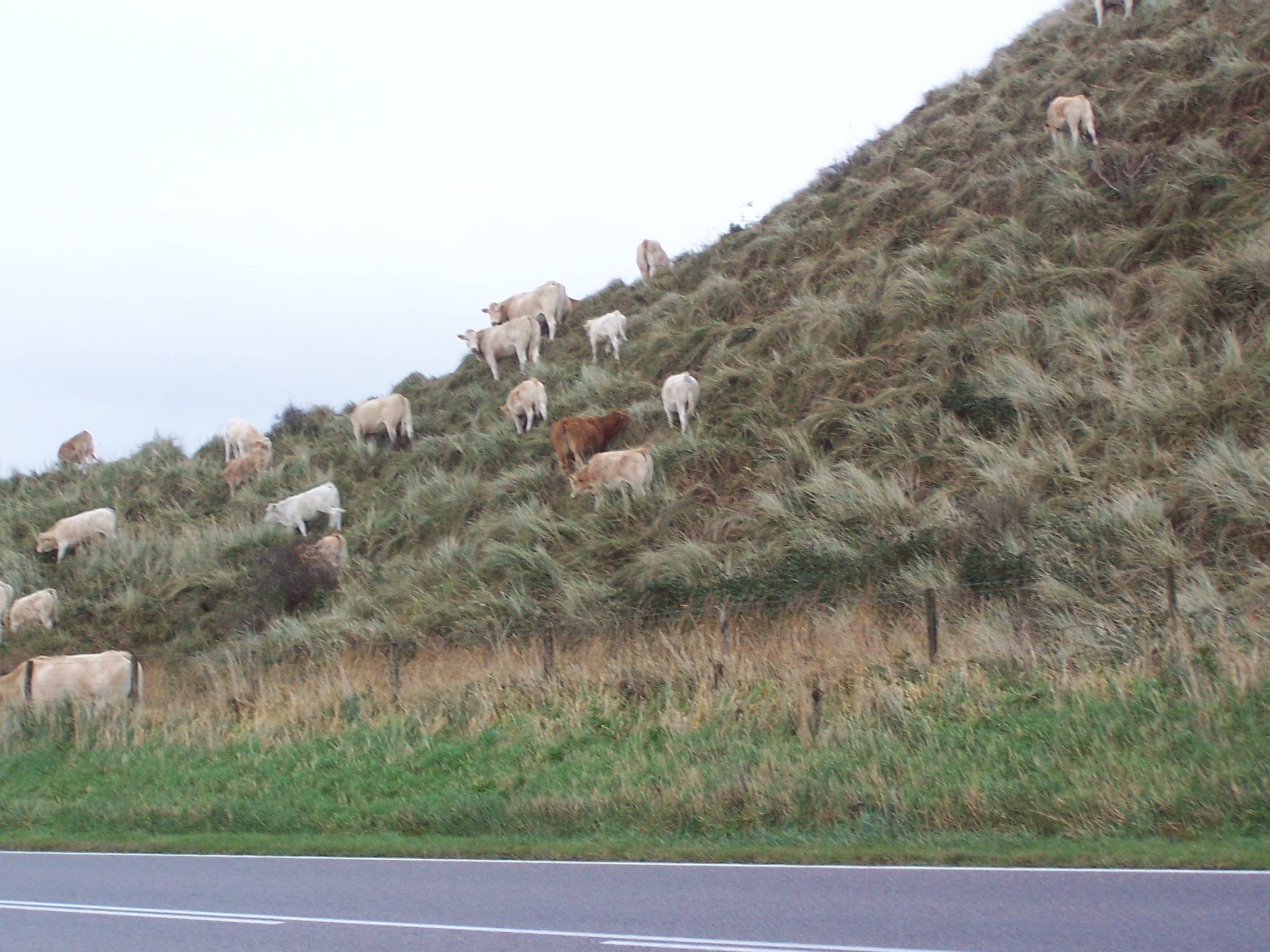 De Korre 2 in Callantsoog-Binnen