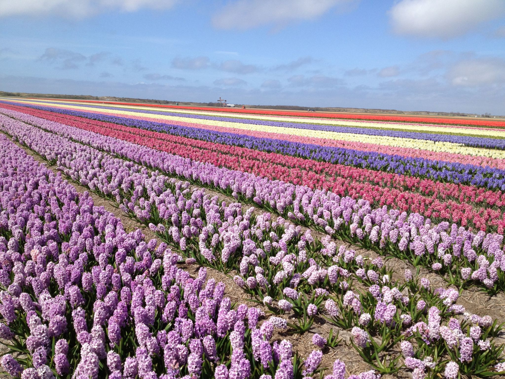 De Korre 2 in Callantsoog-Binnen
