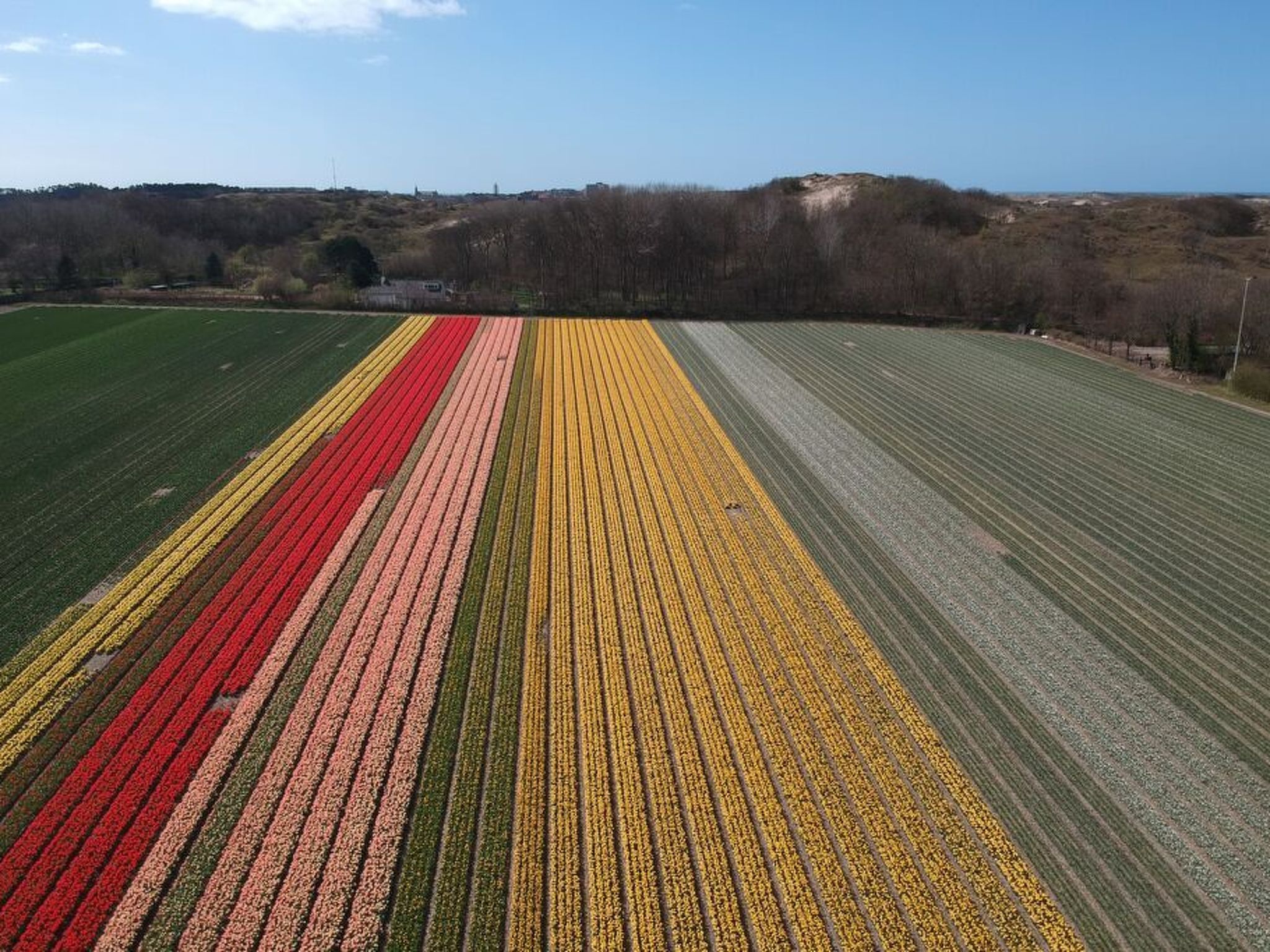 Ferienbungalow Abbes mit Garten und Terrasse-Binnen
