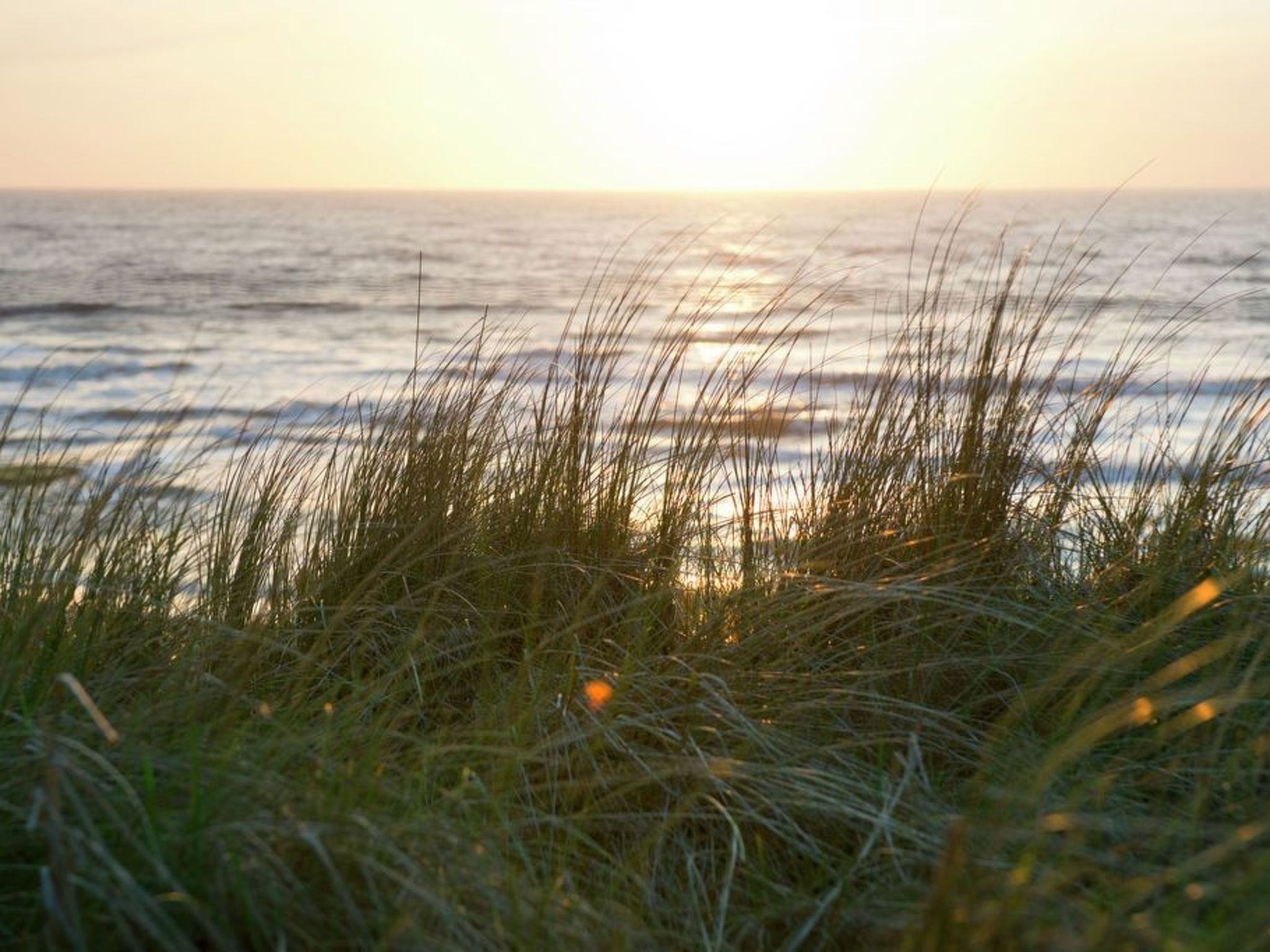 Gemütlicher Bungalow für 4 Personen-Binnen