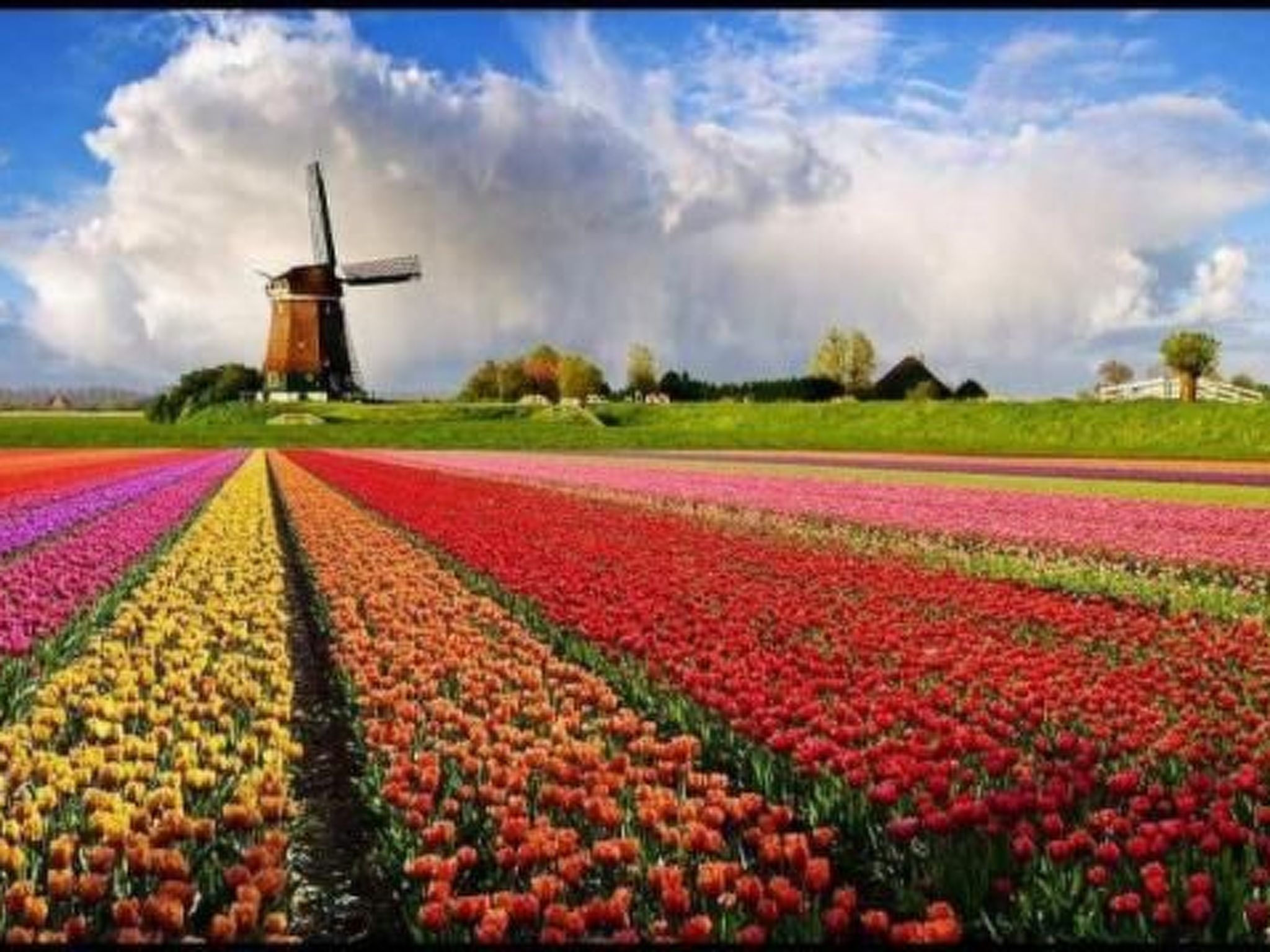 Gemütlicher Bungalow für 4 Personen-Binnen