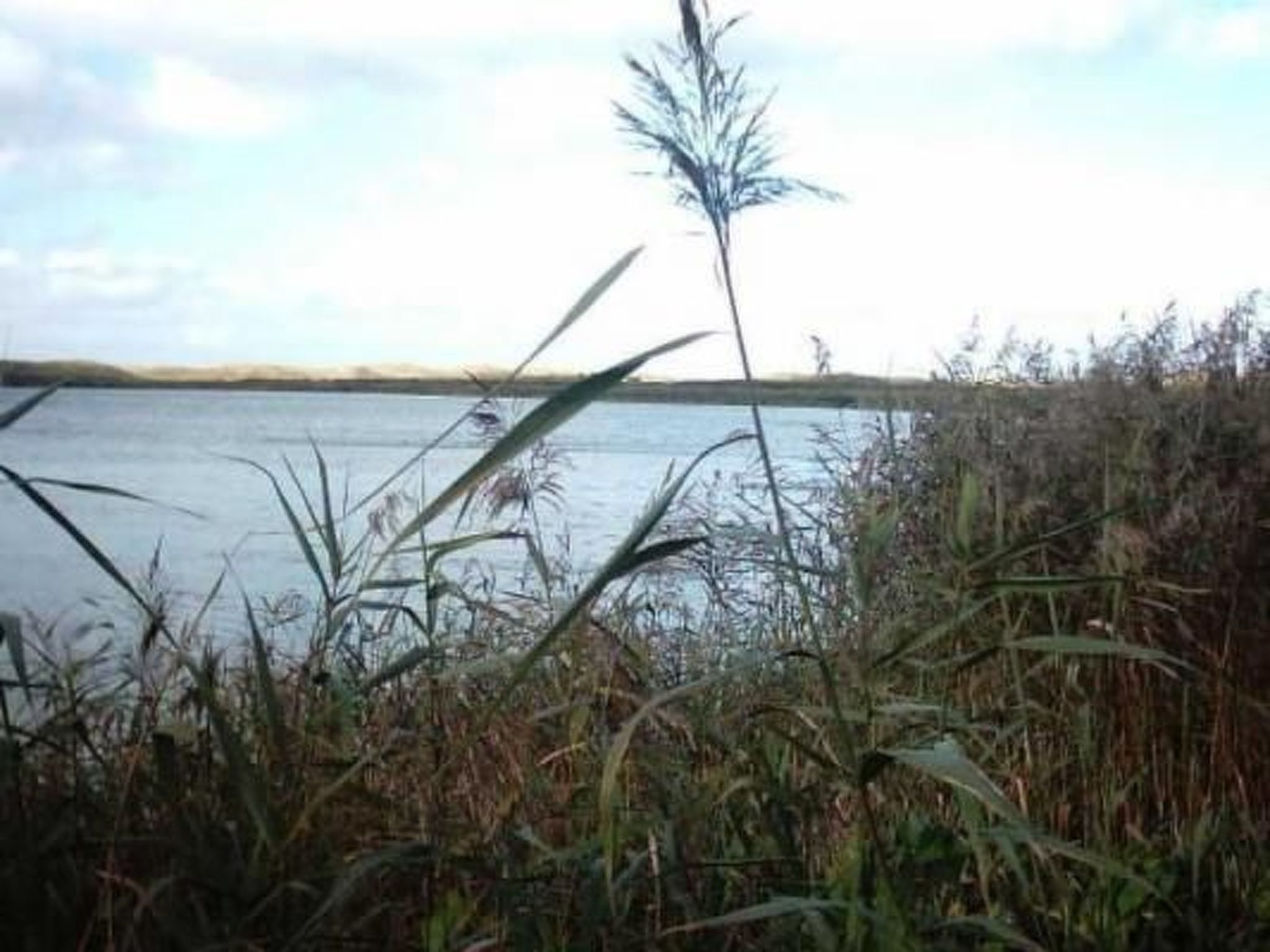Gemütliches Ferienhaus De Blenck-Binnen
