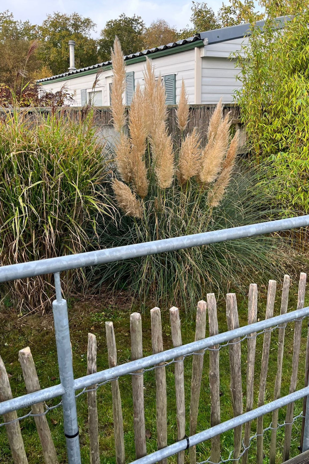 Vakantiepark de Nollen - L002 - Dehors