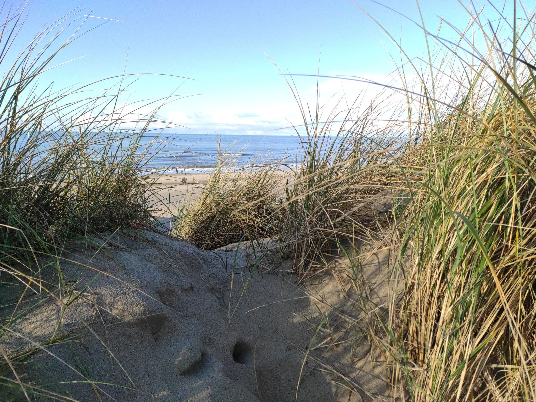 Stuivezandeweg 6, Nähe Strand-Binnen