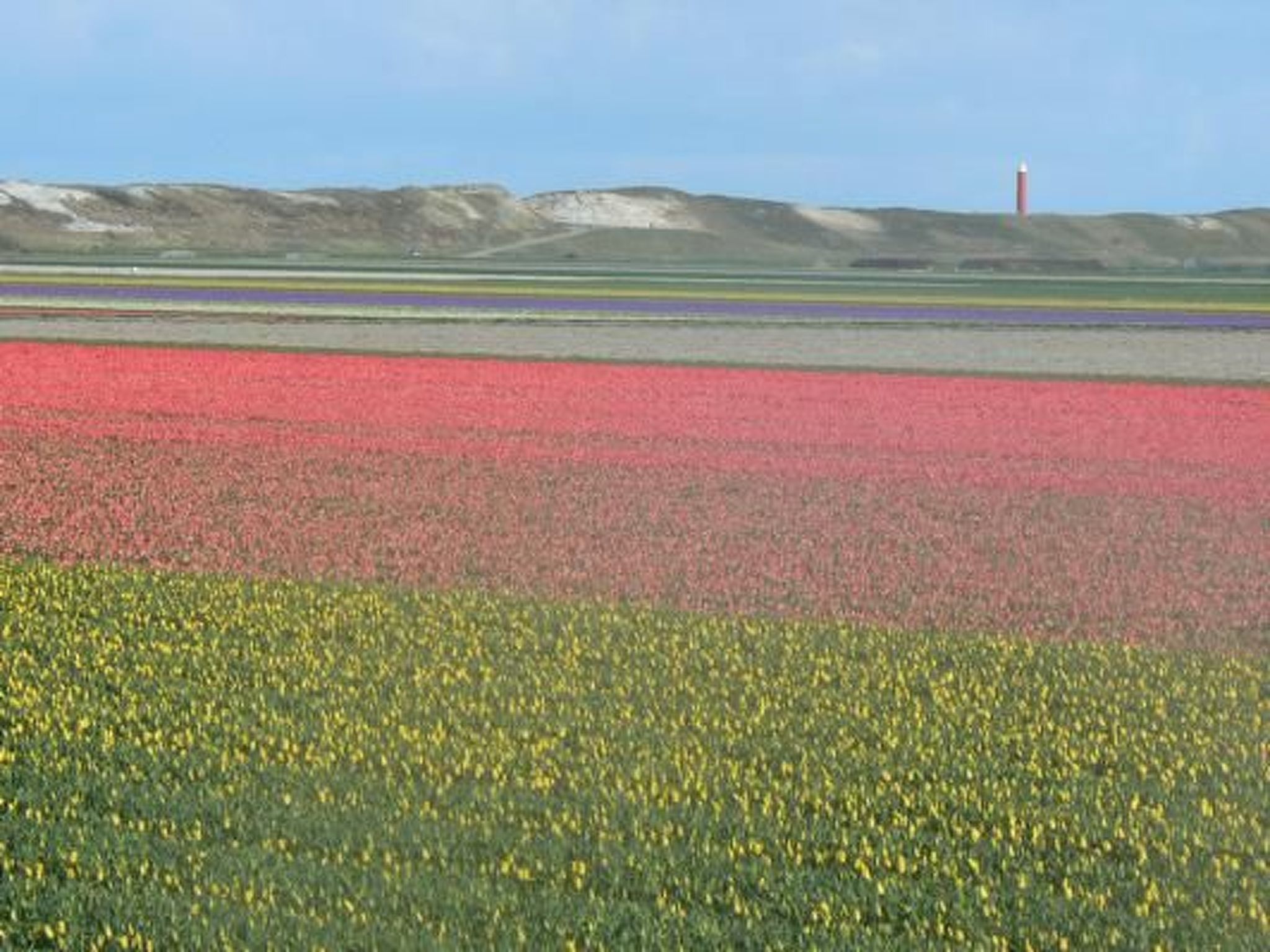 "Villa Ooghduyne"-Inside