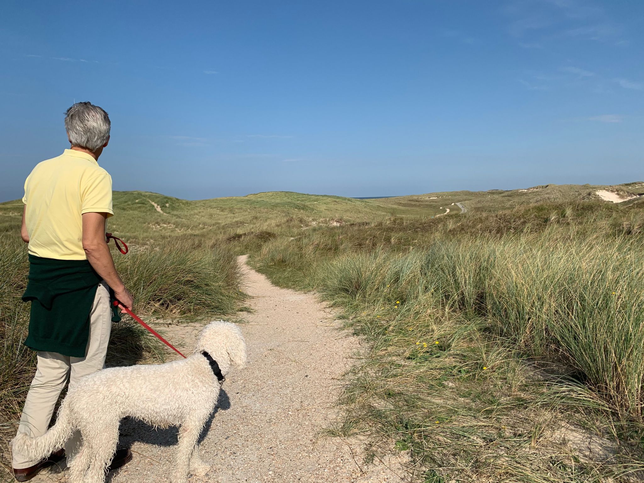 Mit Garten, Grill und Terrasse-Image-tags.info