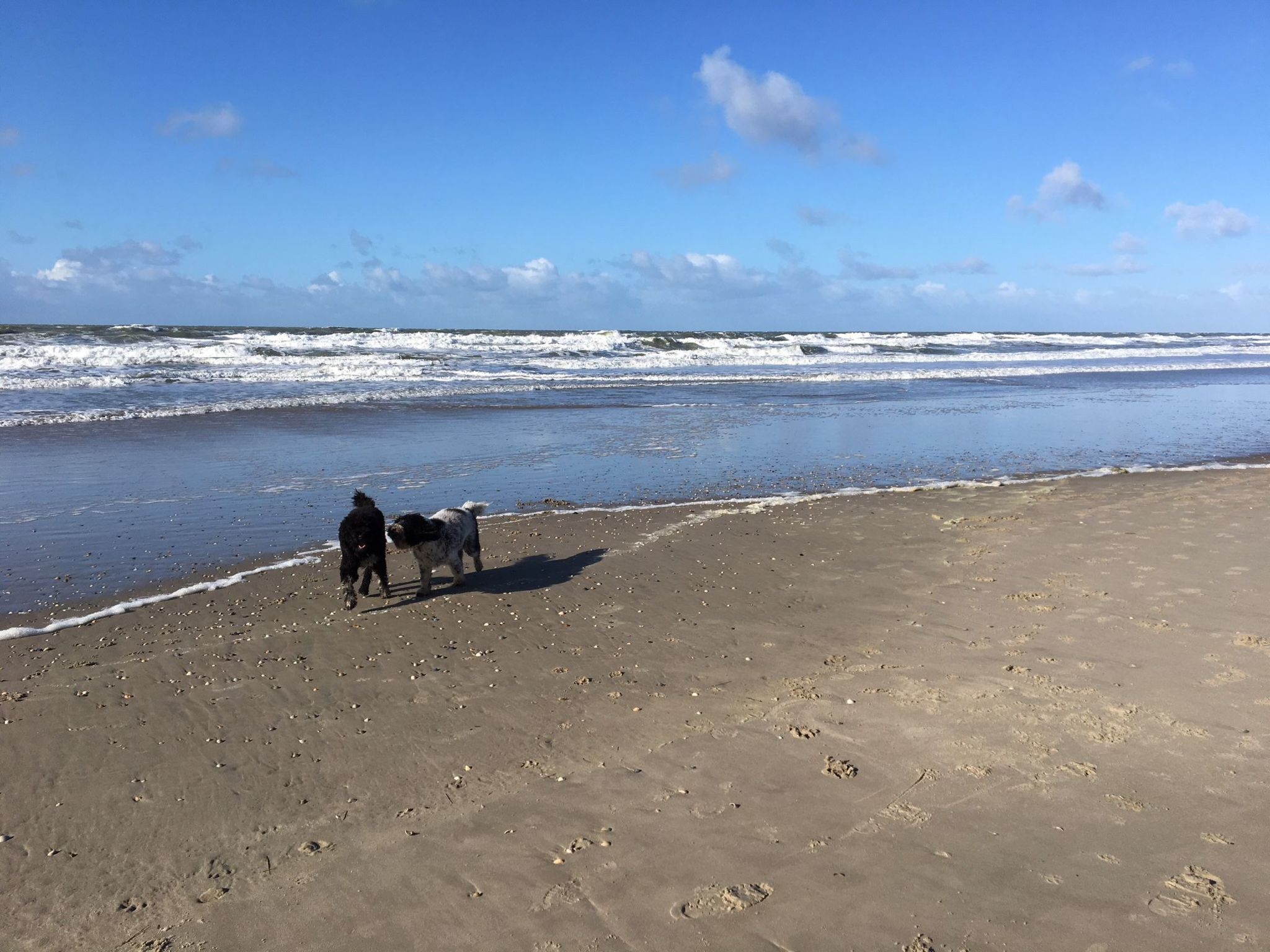 Mit Garten, Grill und Terrasse-Image-tags.info