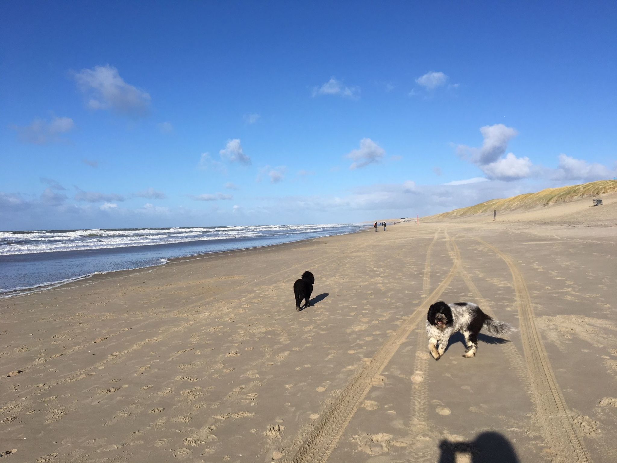 Mit Garten, Grill und Terrasse-Image-tags.info