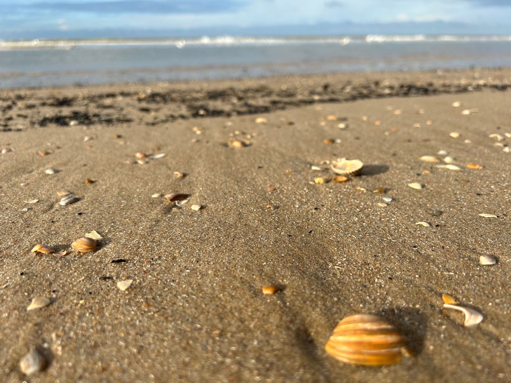 Rekerlanden 202-Image-tags.info