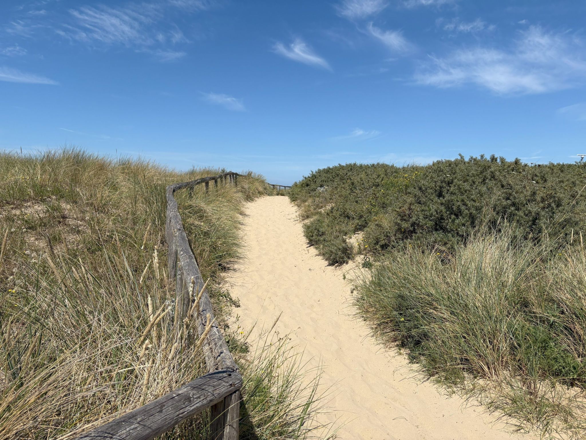 Rekerlanden 202-Image-tags.info