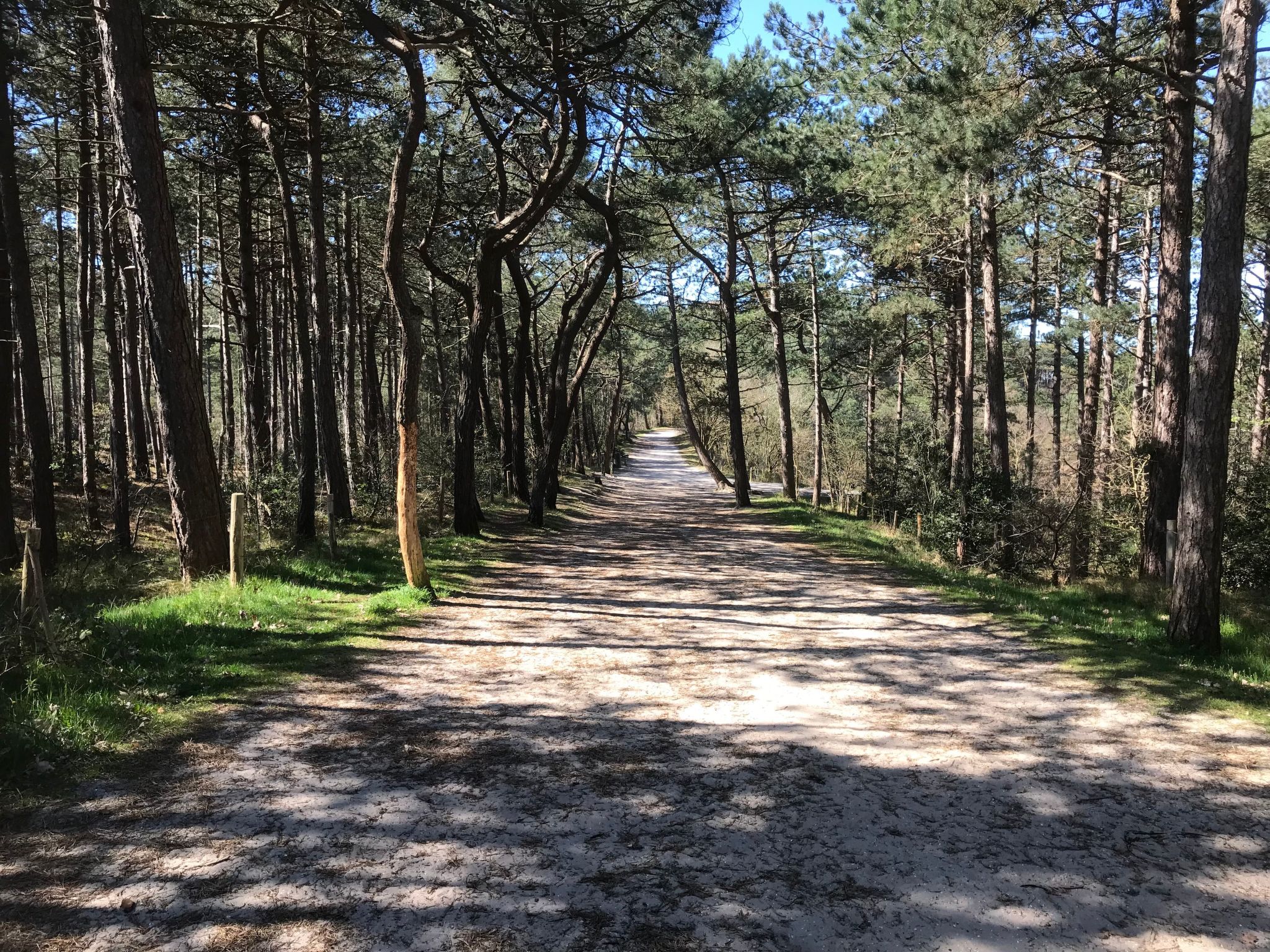 Rekerlanden 202-Image-tags.info