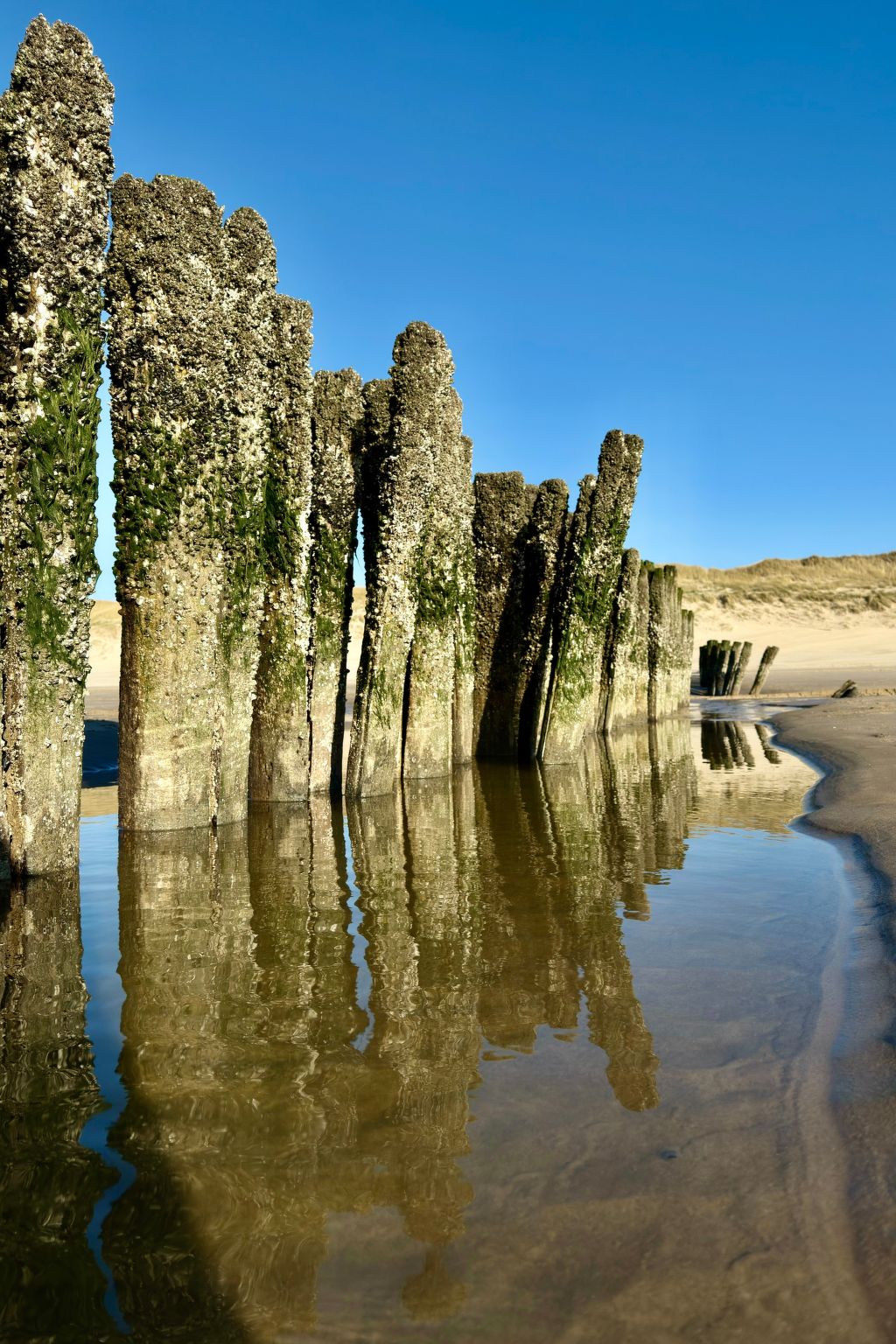 Rekerlanden 174-Image-tags.info