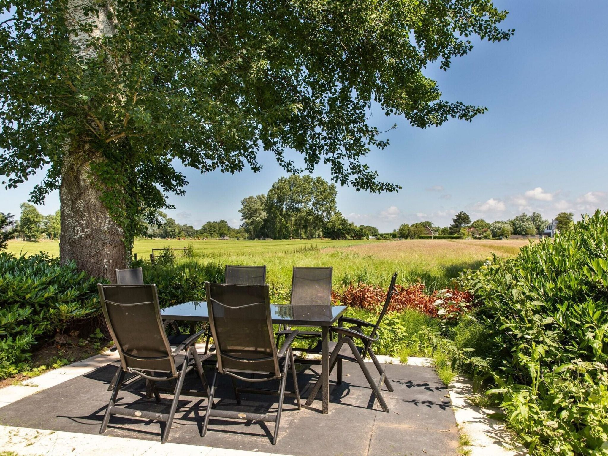 Restyled Koningshoeve 6 personen - Buiten