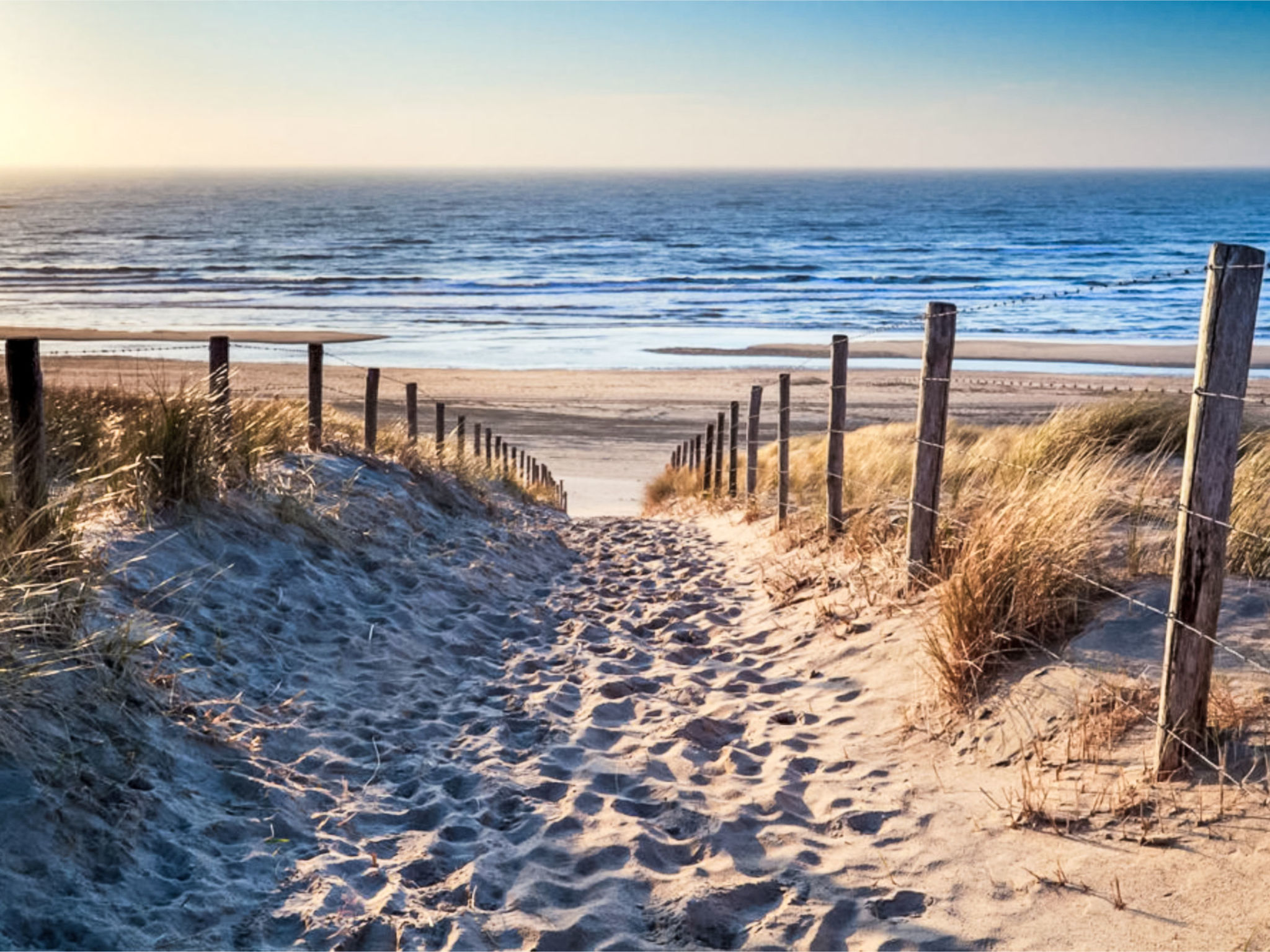 Strand 166 - Dehors
