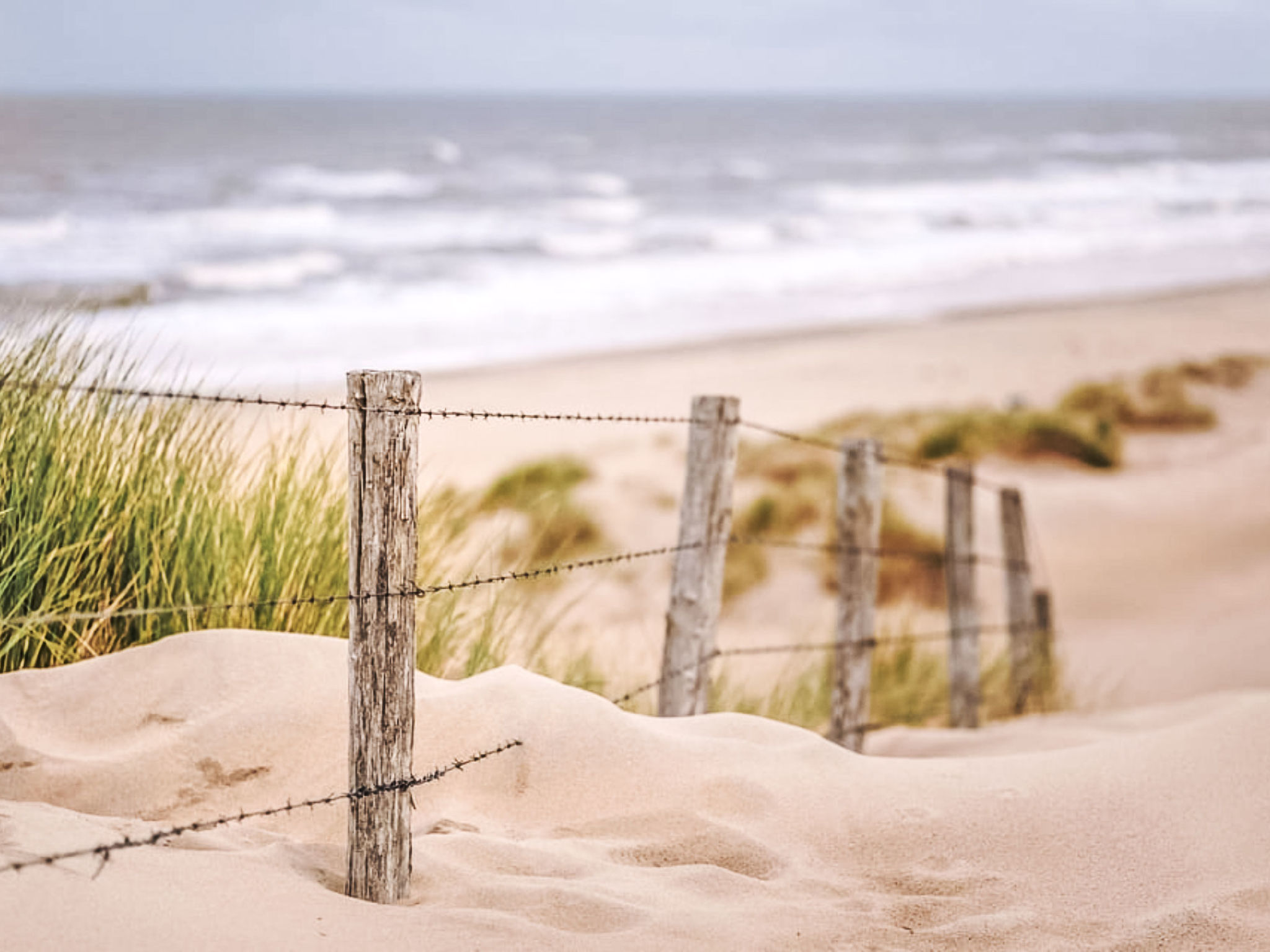Gestrand - Dehors