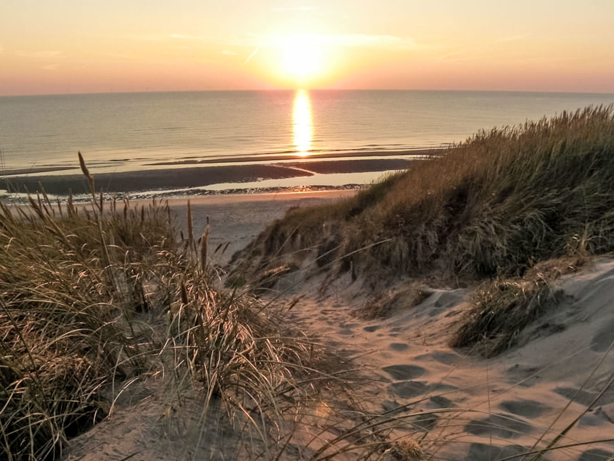 Gestrand - Dehors
