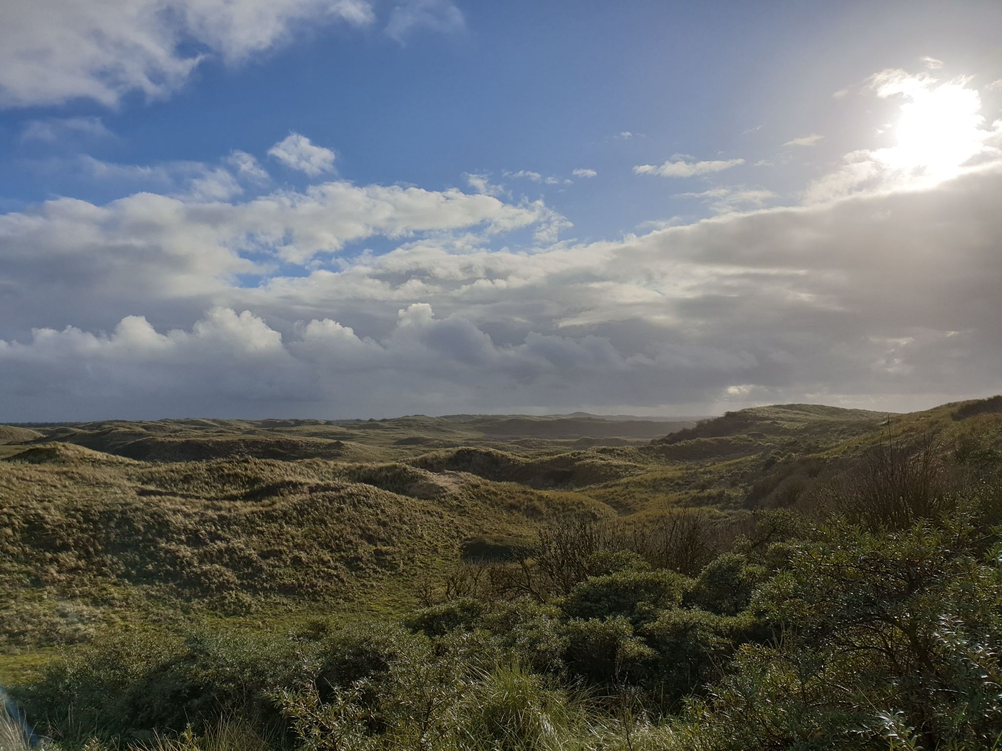 Sommerhaus in ruhiger Lage mit privatem Garten und Terrasse-Binnen
