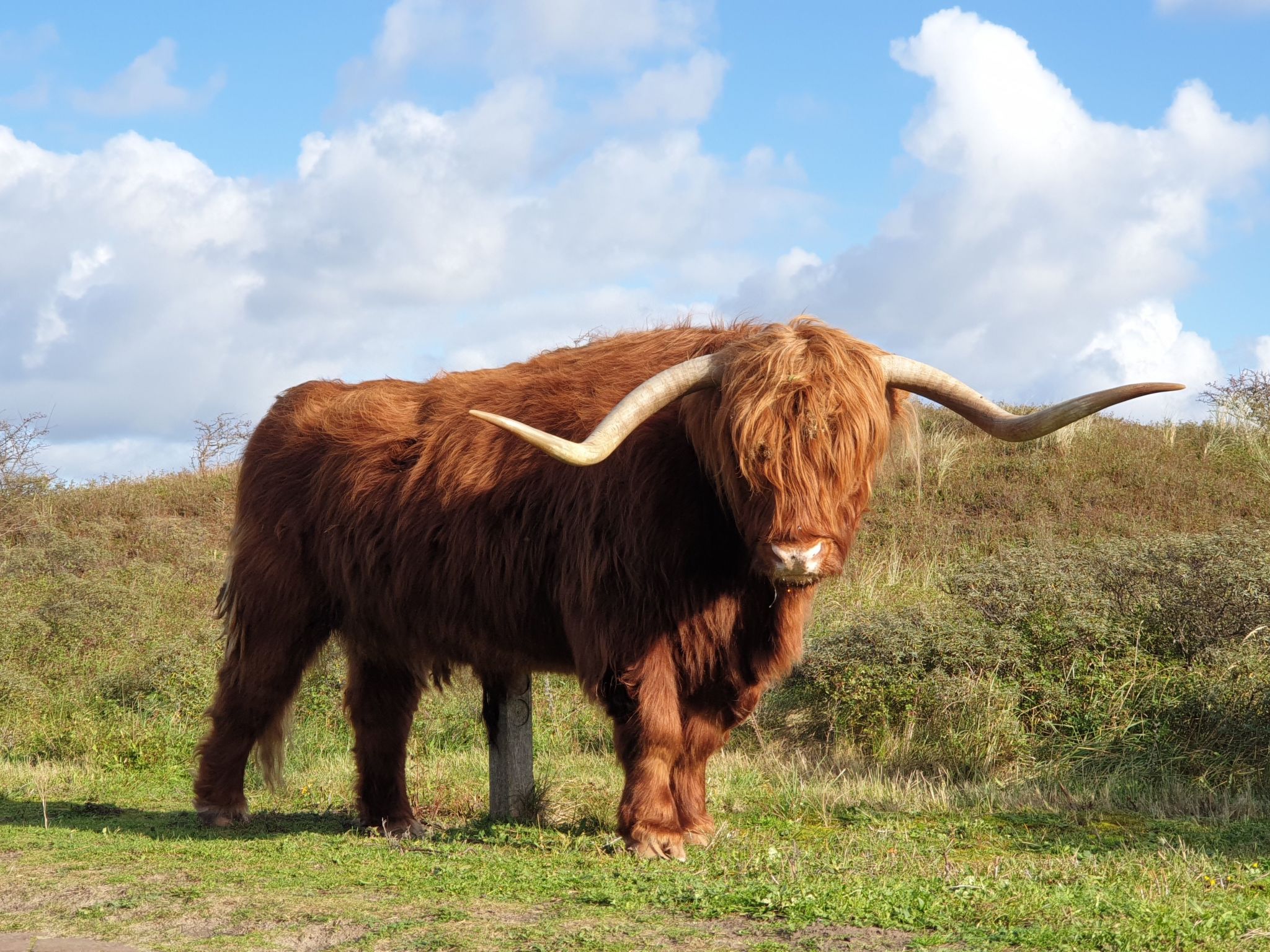 Sommerhaus in ruhiger Lage mit privatem Garten und Terrasse-Binnen