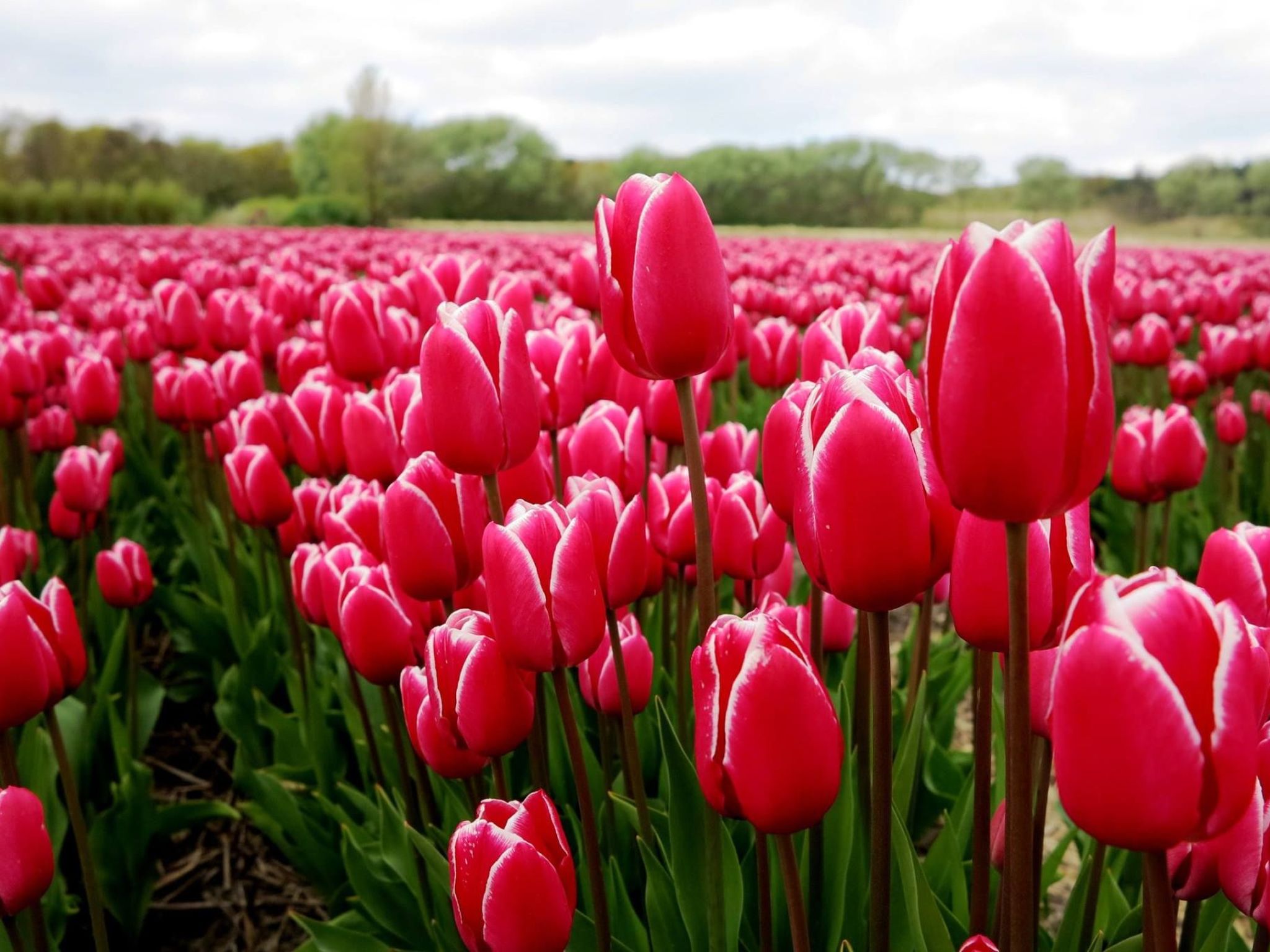 Sommerhaus in ruhiger Lage mit privatem Garten und Terrasse-Binnen
