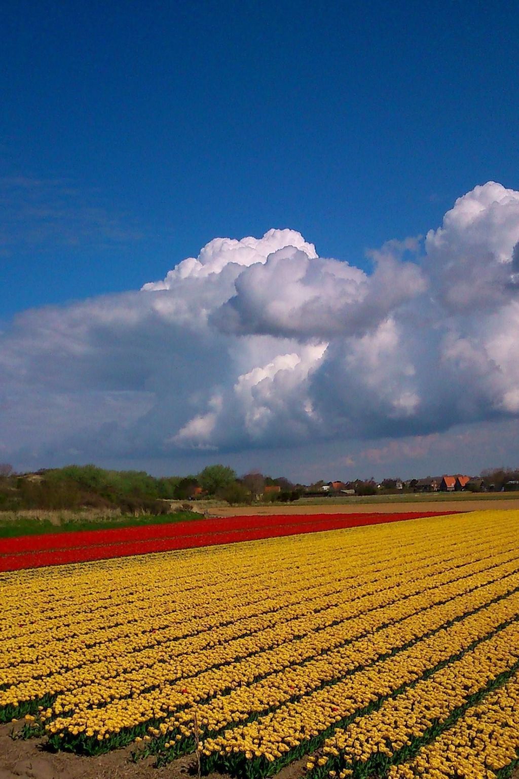 Sommerhaus "De Zeester"-Dedans