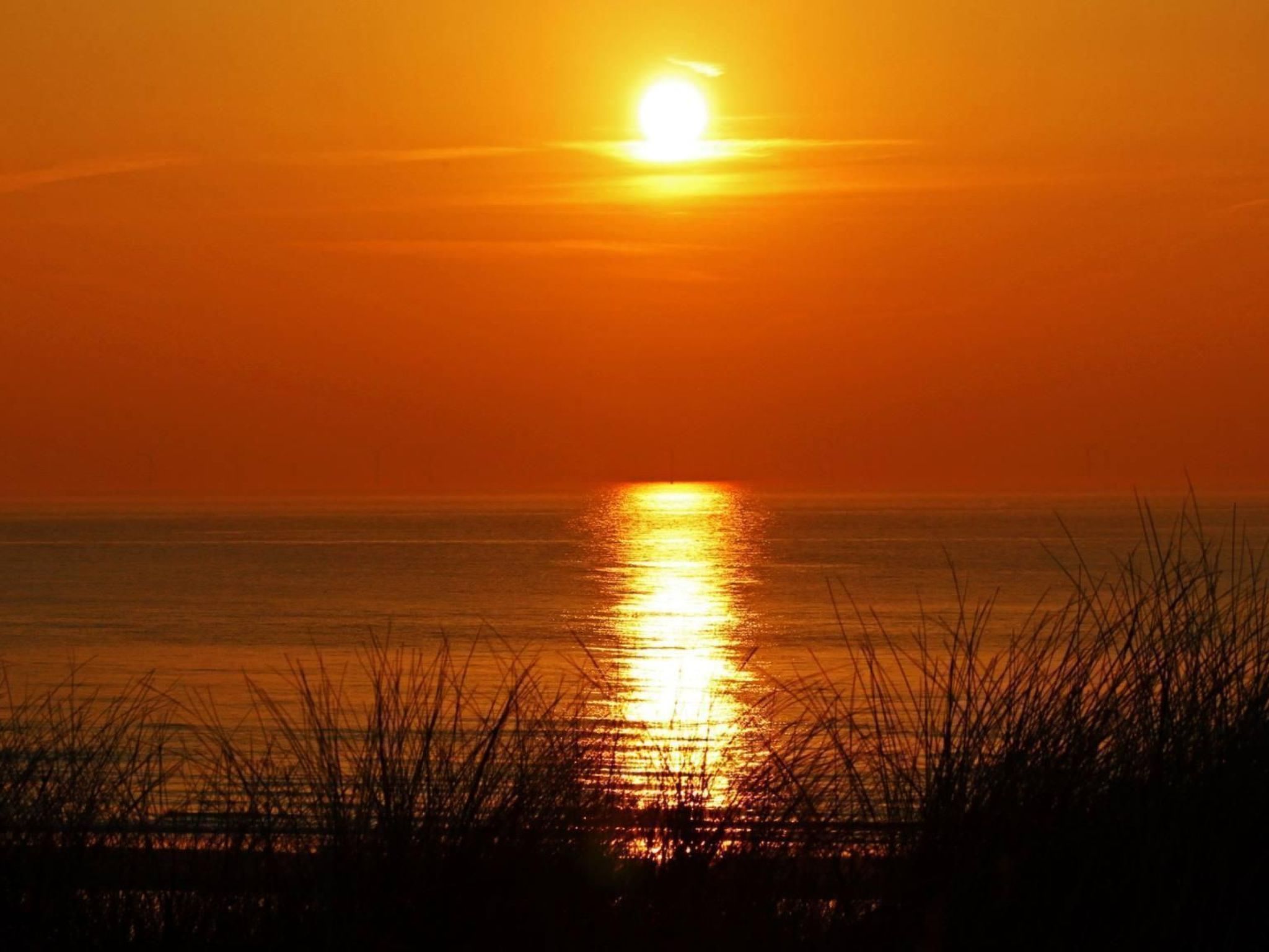 Sommerhaus "De Zeester"-Dedans