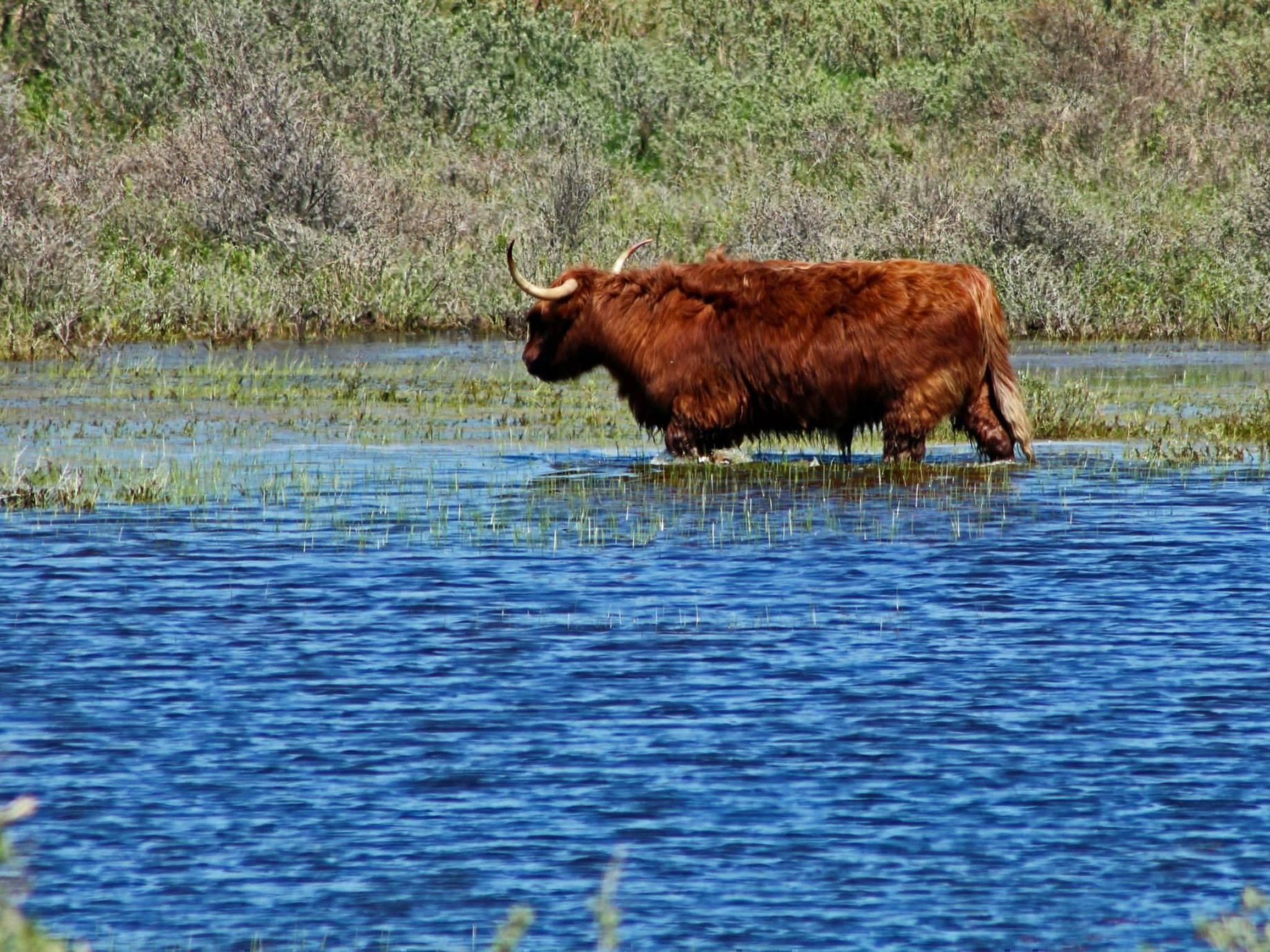 "Windhoos" mit privatem Garten und Terrasse-Binnen