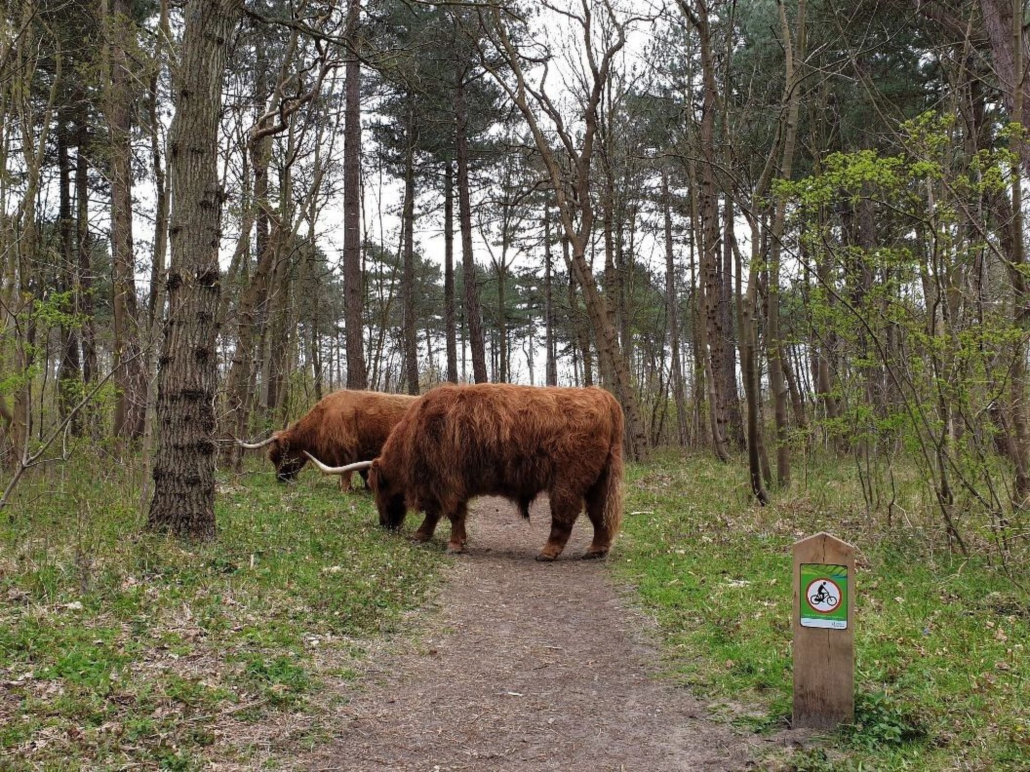 "Windhoos" mit privatem Garten und Terrasse-Binnen