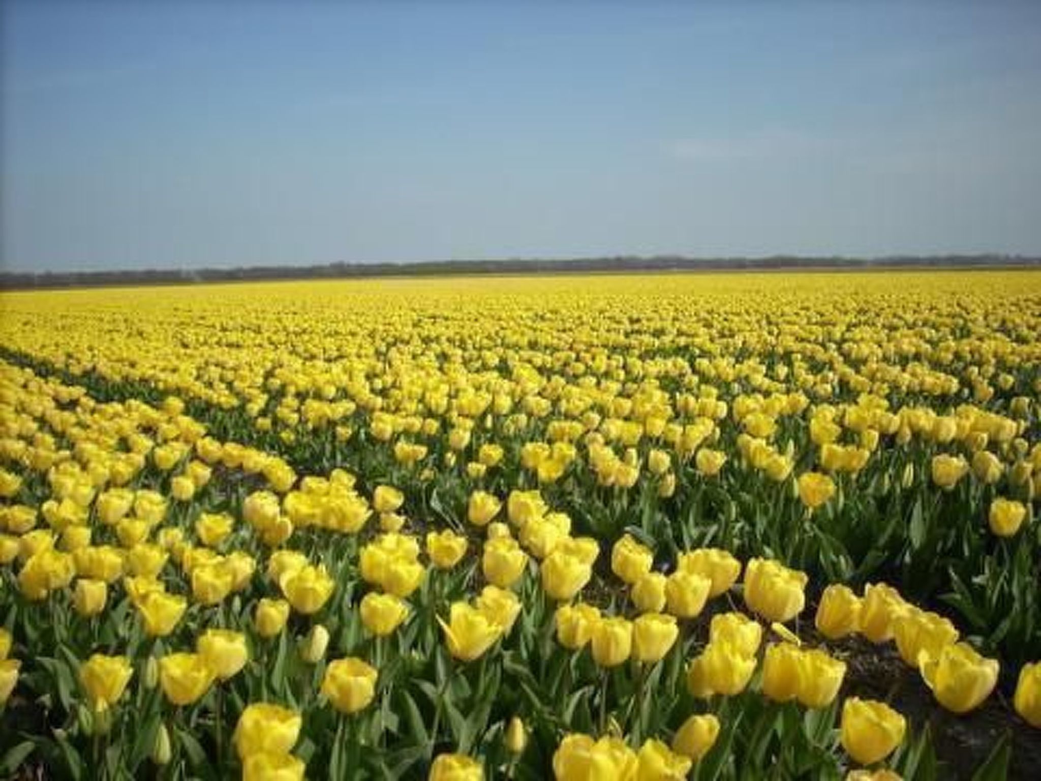 "Windhoos" mit privatem Garten und Terrasse-Binnen