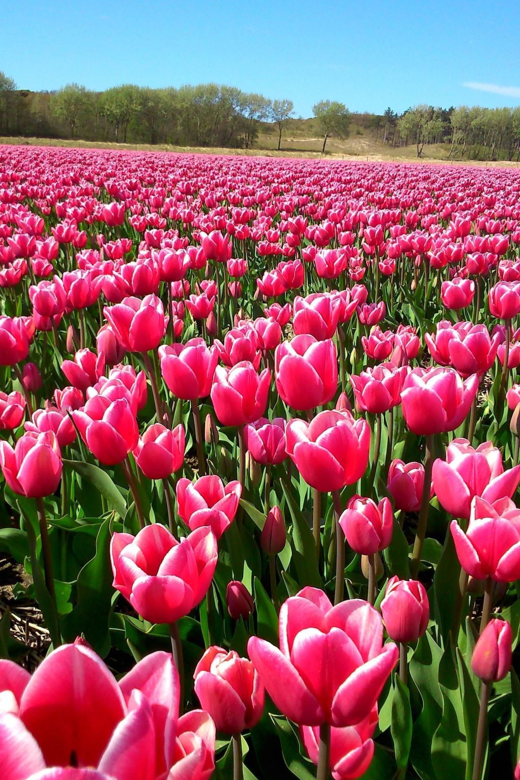 "Windhoos" mit privatem Garten und Terrasse-Binnen