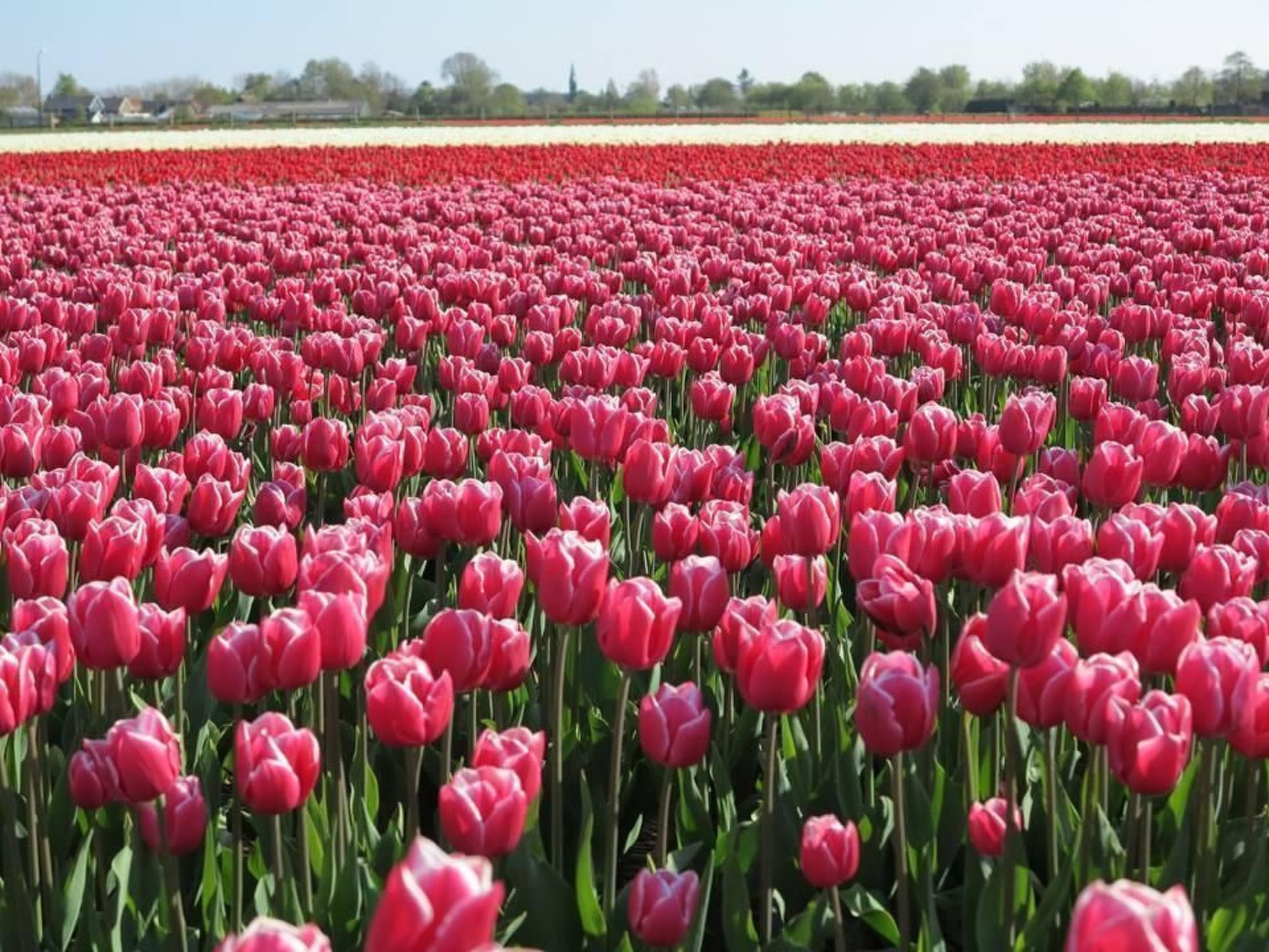 "Windhoos" mit privatem Garten und Terrasse-Binnen
